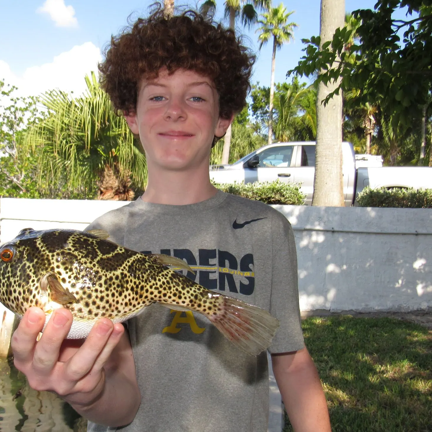 The most recent Checkered puffer catches on Fishbrain