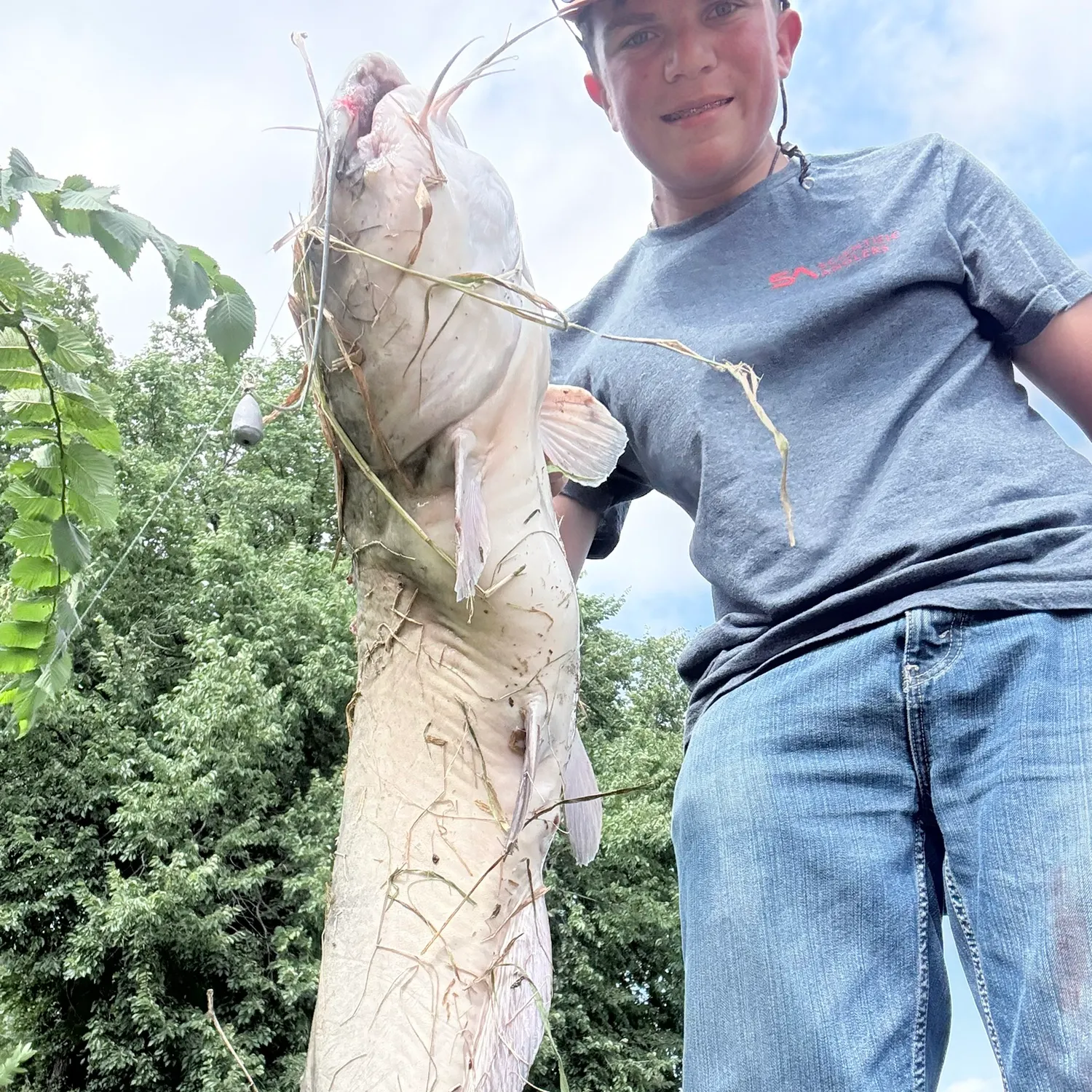 Channel catfish caught on Fishbrain