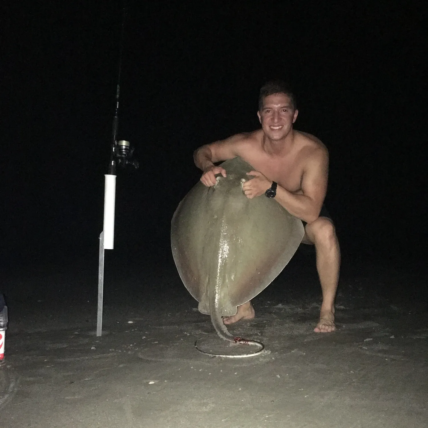 The most recent Atlantic stingray catches on Fishbrain