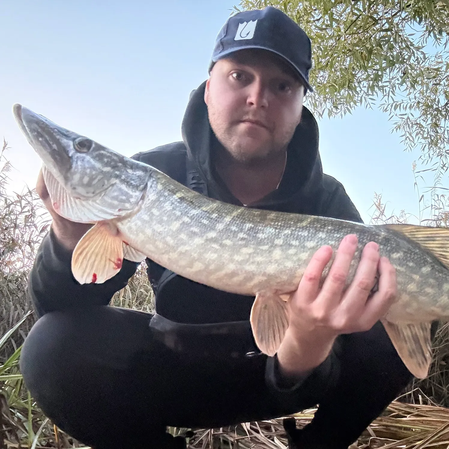Northern pike caught on Fishbrain