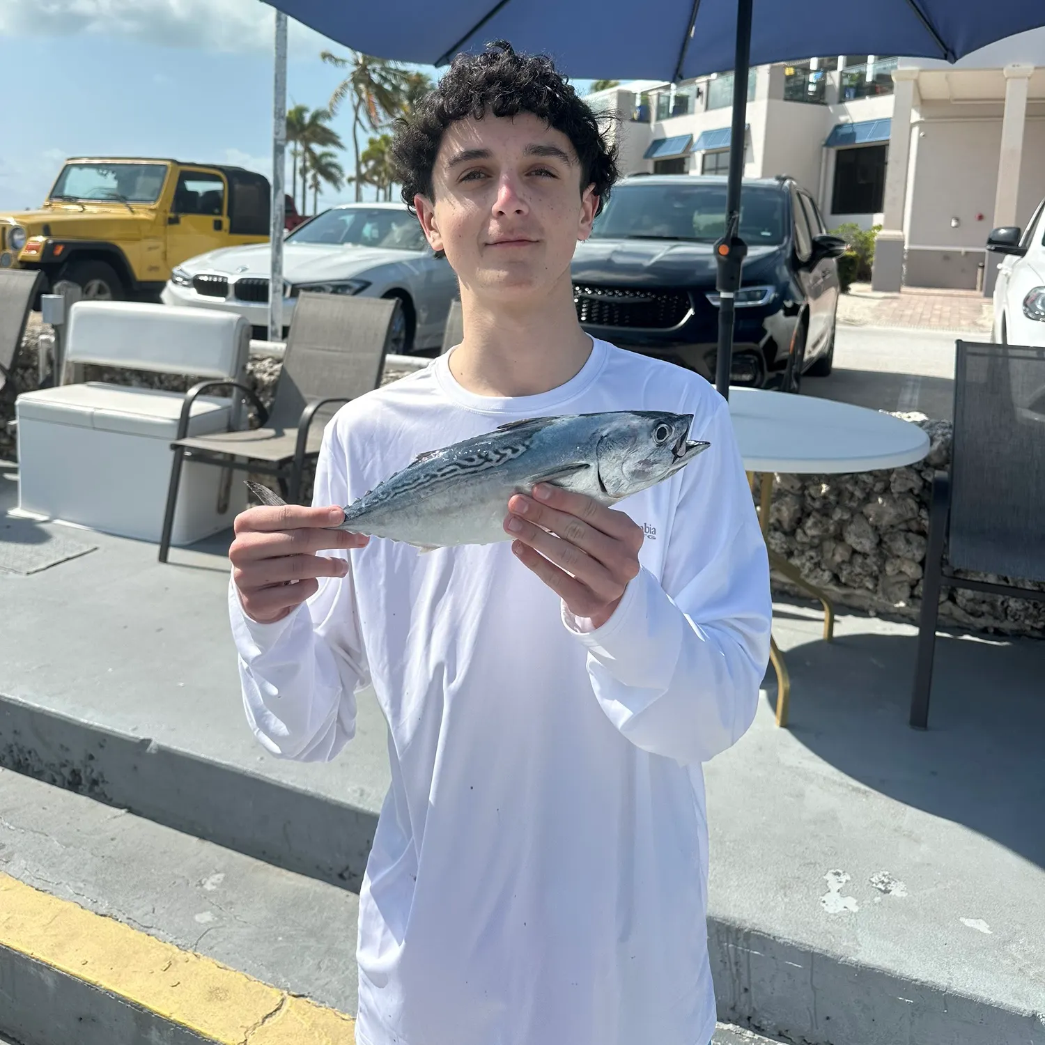 The most recent Little tunny catches on Fishbrain