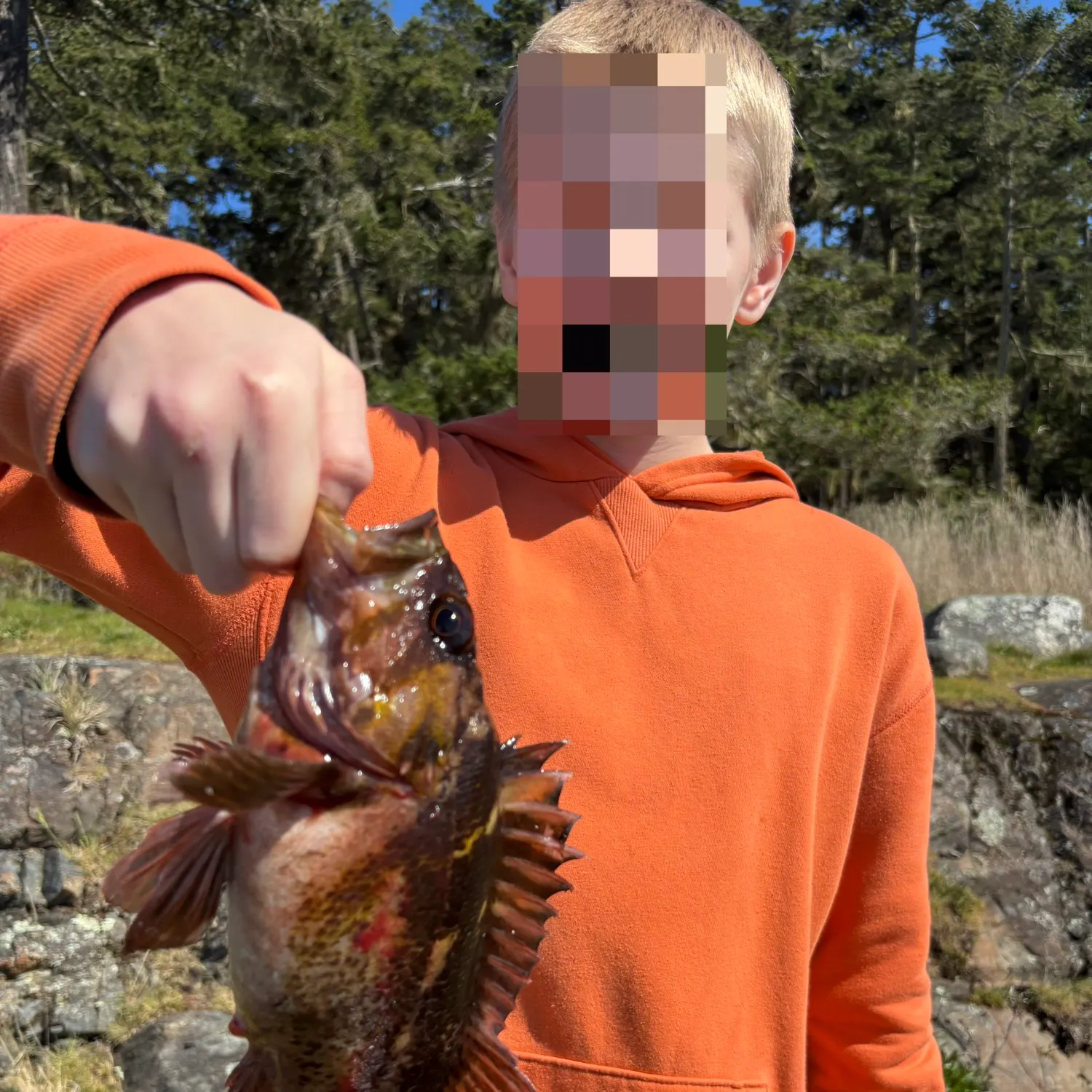 The most recent Quillback rockfish catches on Fishbrain