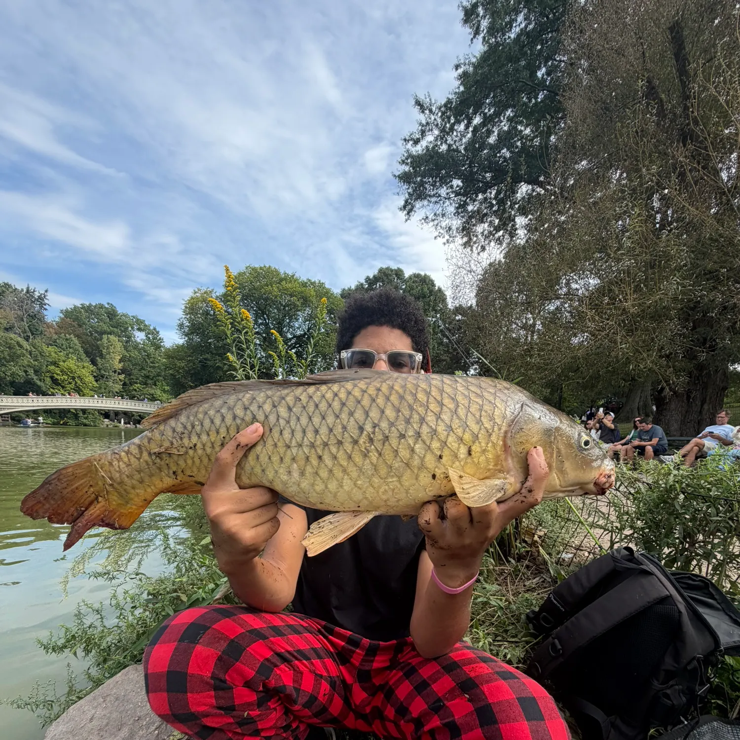 Common carp caught on Fishbrain