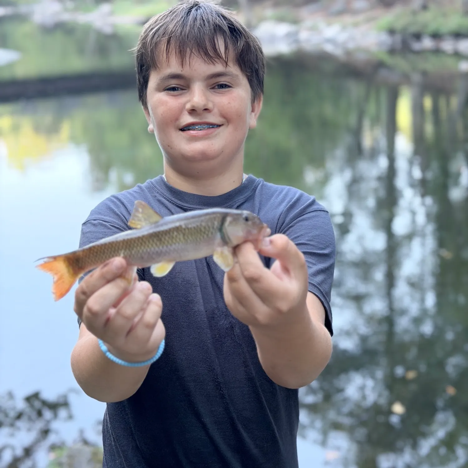 The most recent River chub catches on Fishbrain