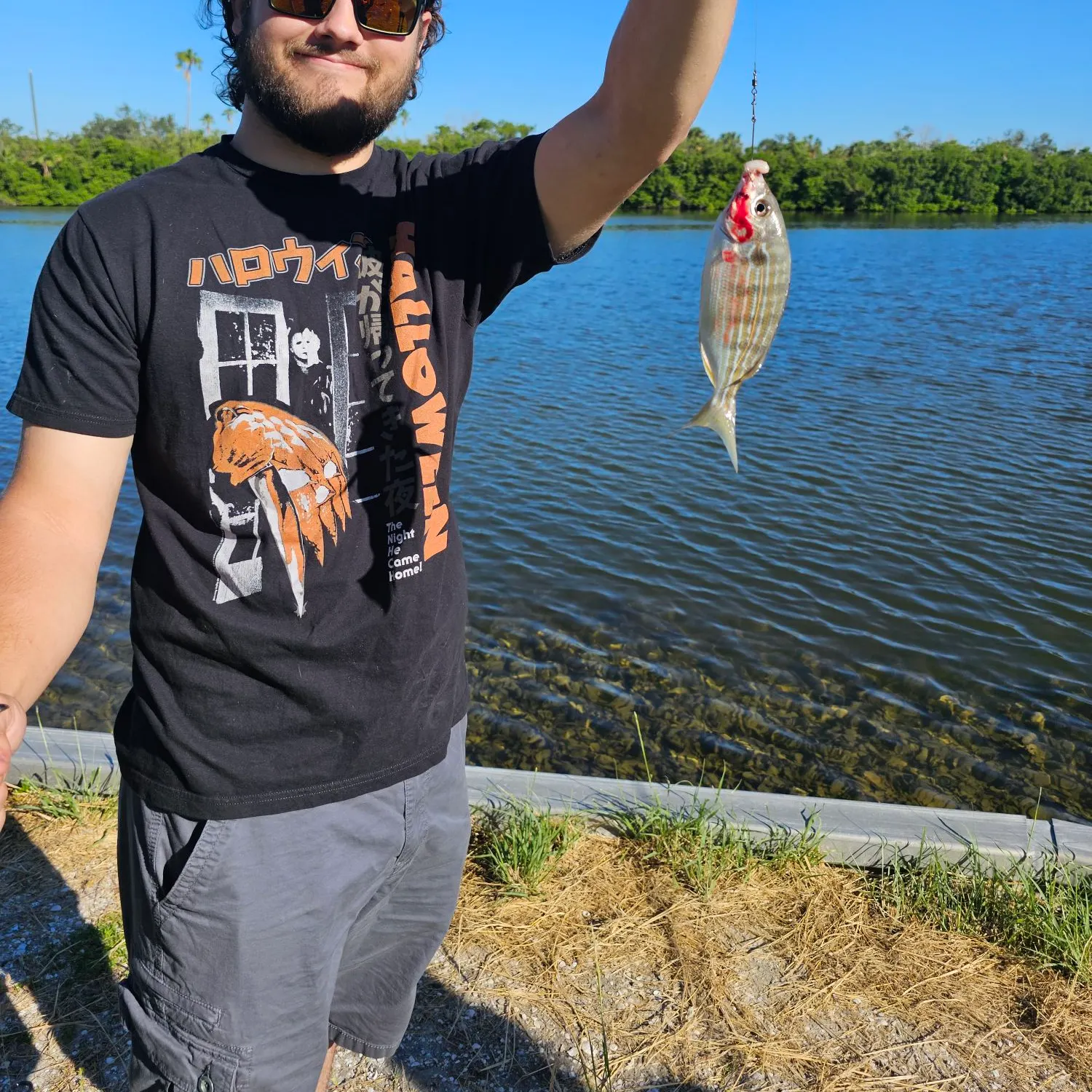 Pinfish caught on Fishbrain
