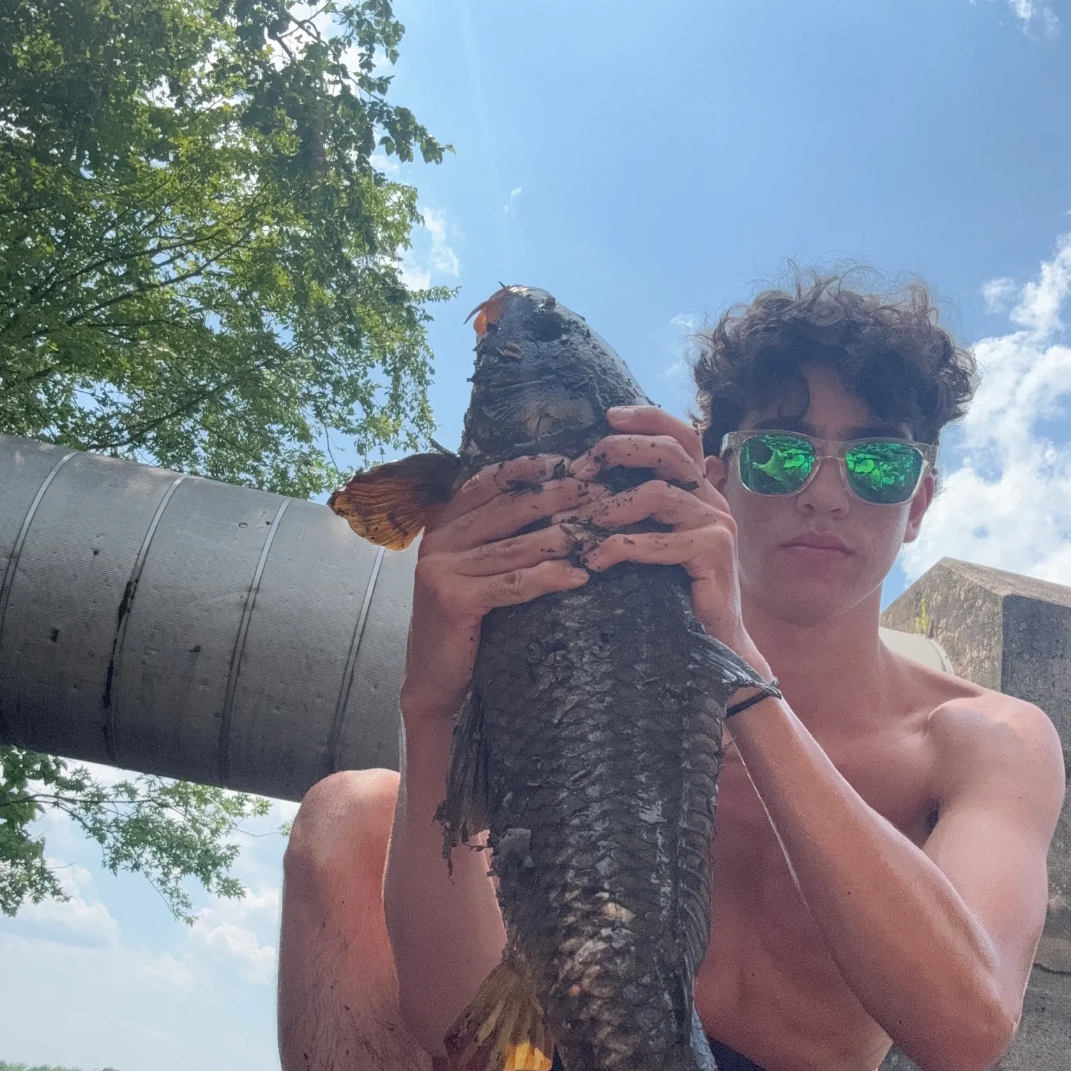 The most recent Black carp catches on Fishbrain