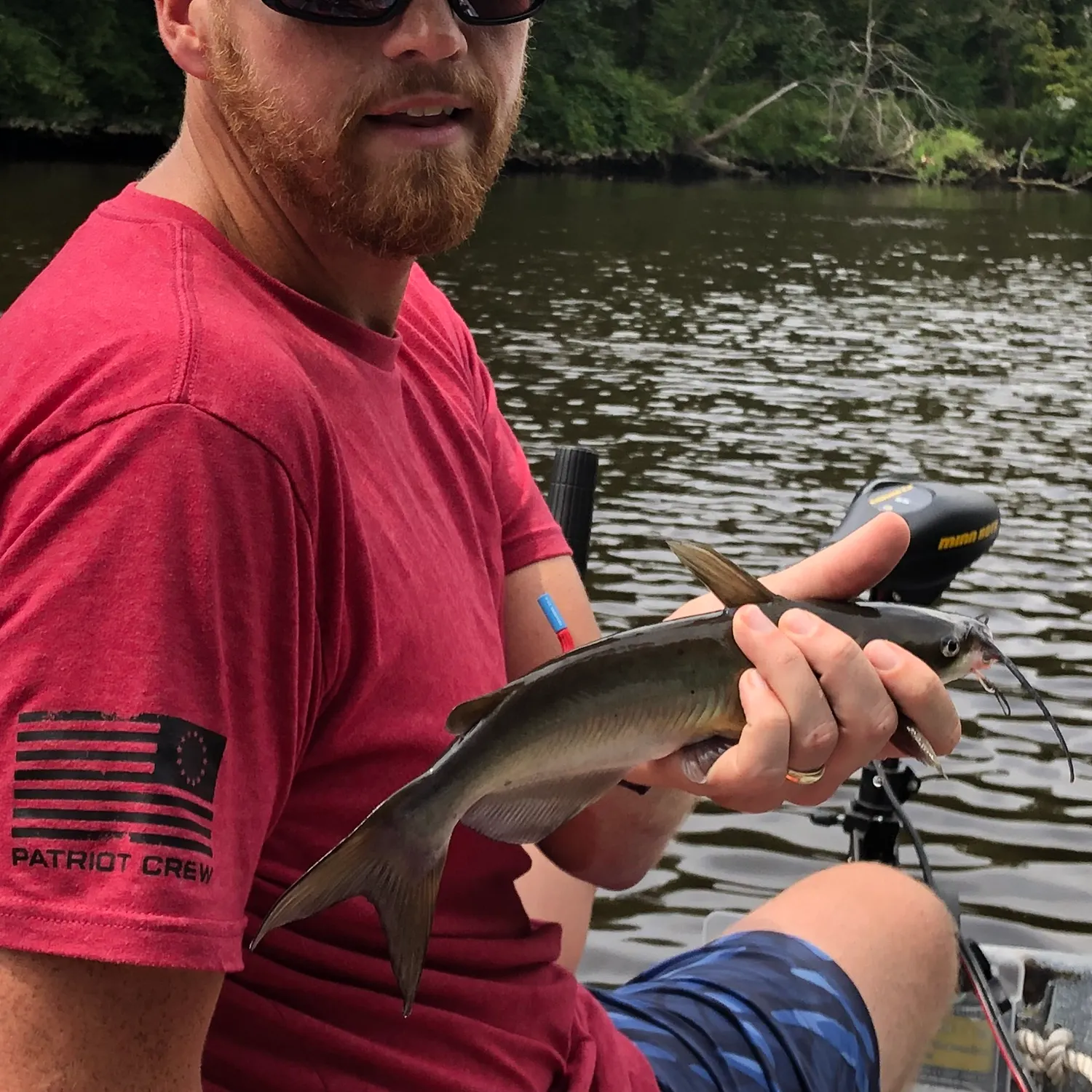 Channel catfish caught on Fishbrain