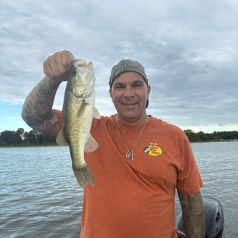 Fish caught on Fishbrain