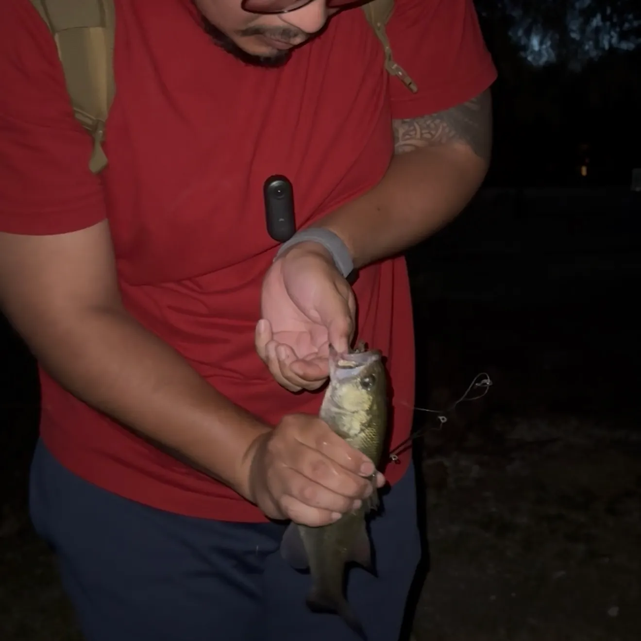 Largemouth bass caught on Fishbrain