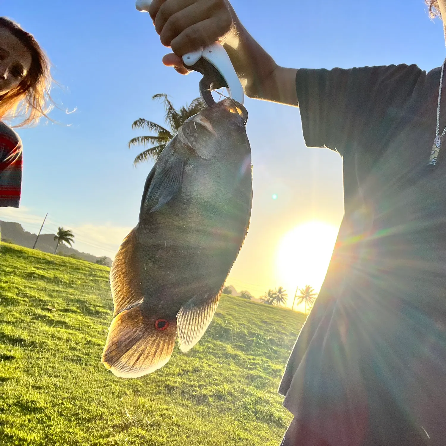 angler catch