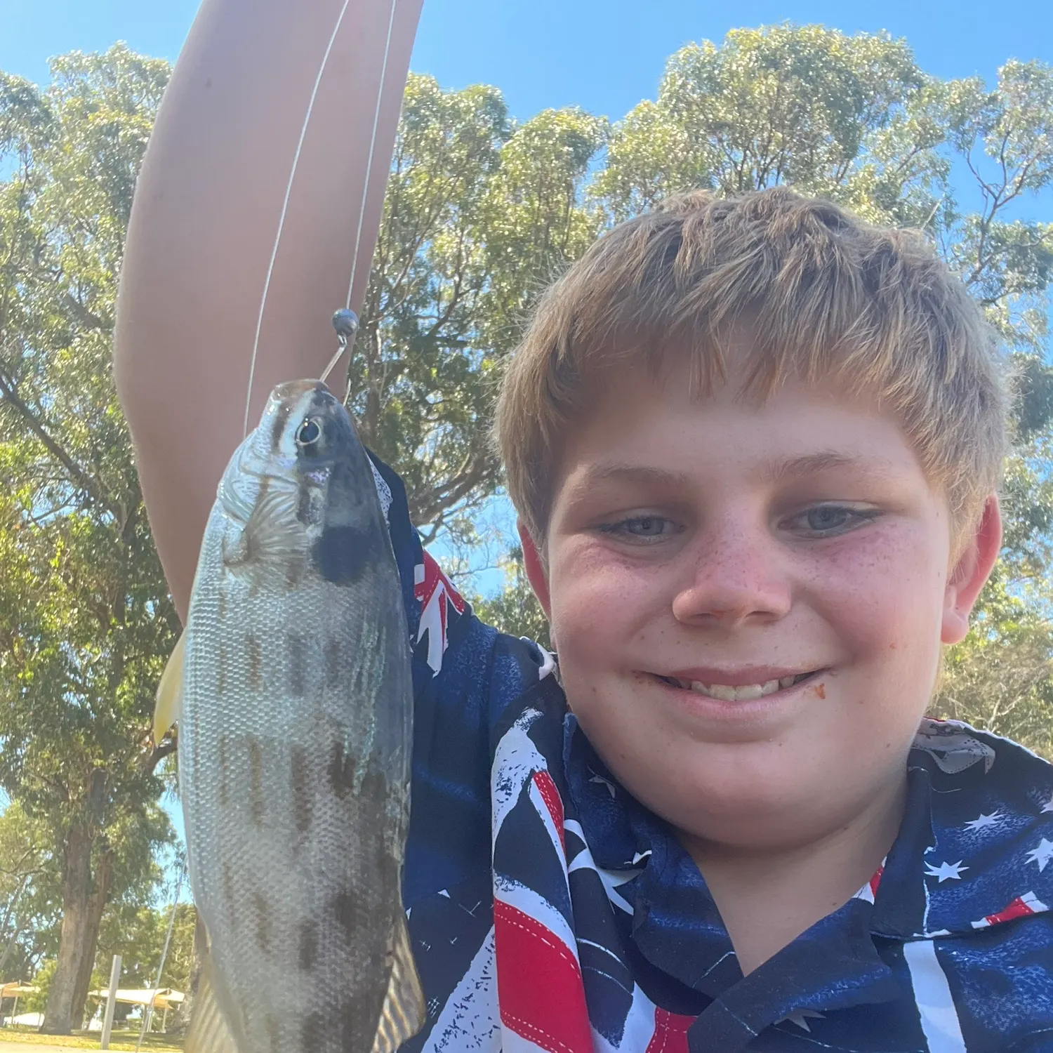 The most recent Western striped grunter catches on Fishbrain