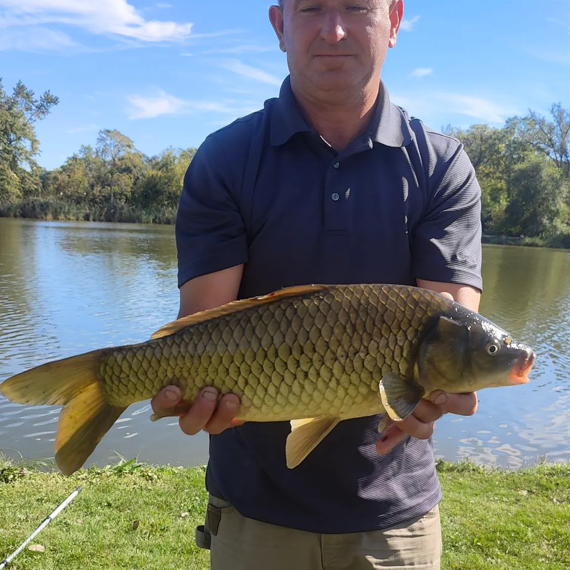 The most recent F1 carp catches on Fishbrain