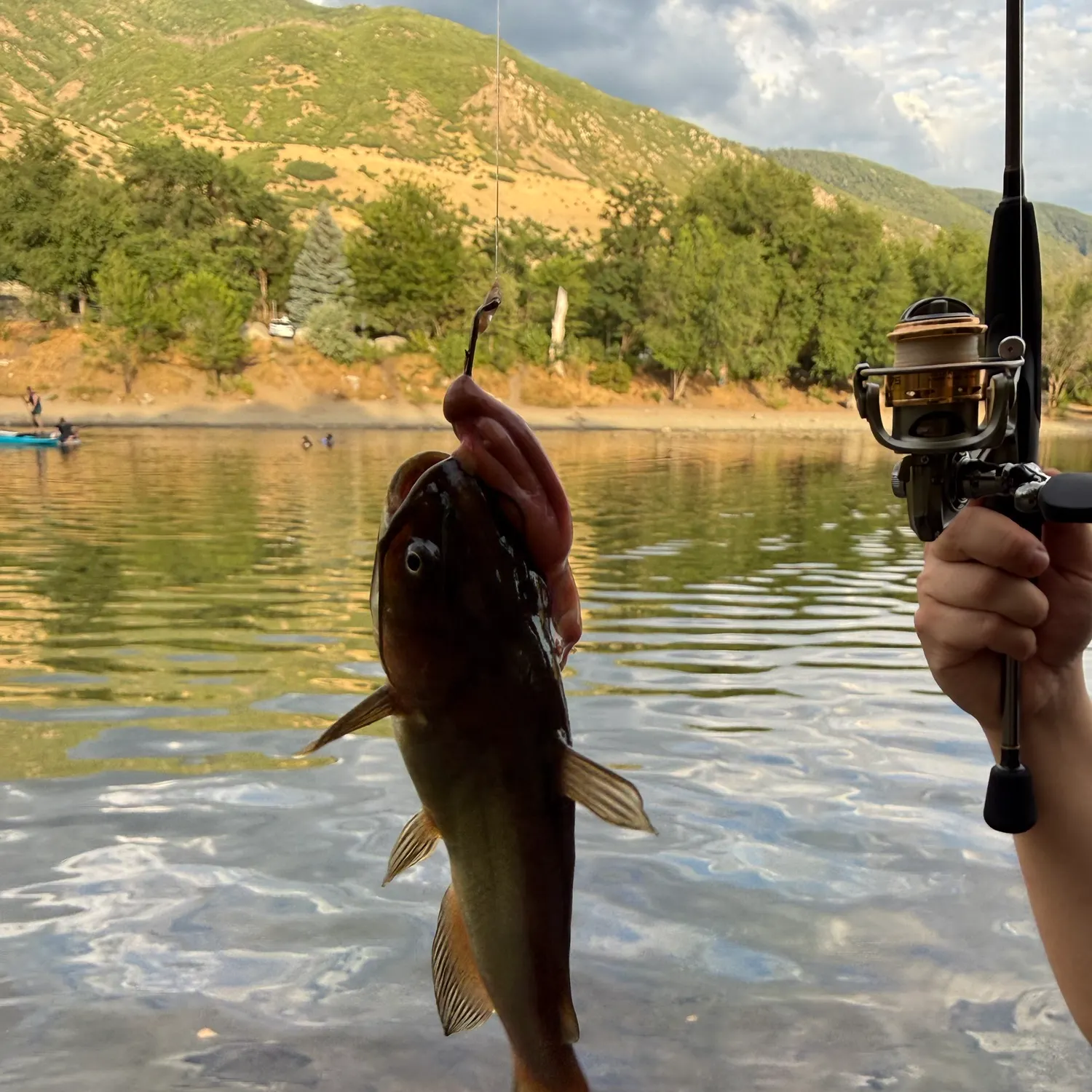 catch