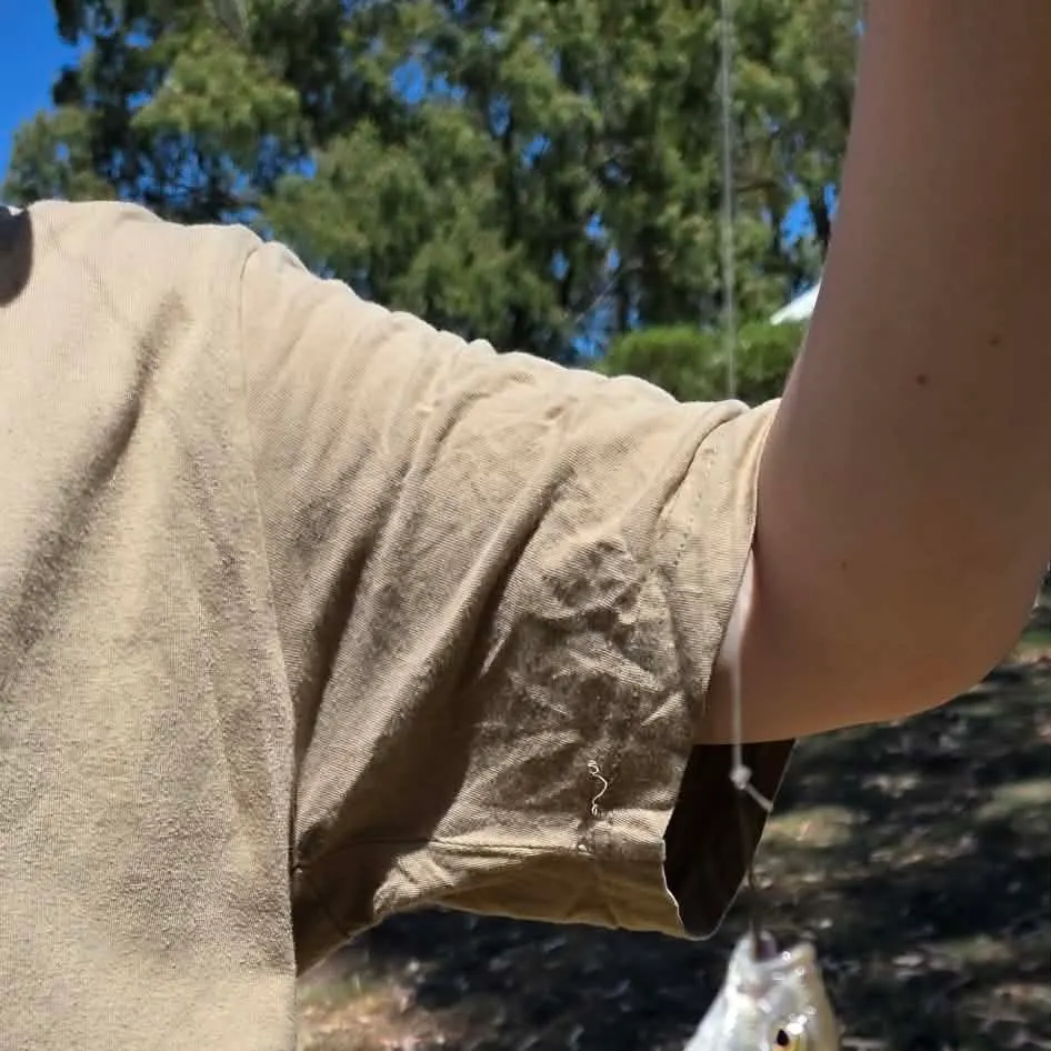 The most recent Bidyan perch catches on Fishbrain