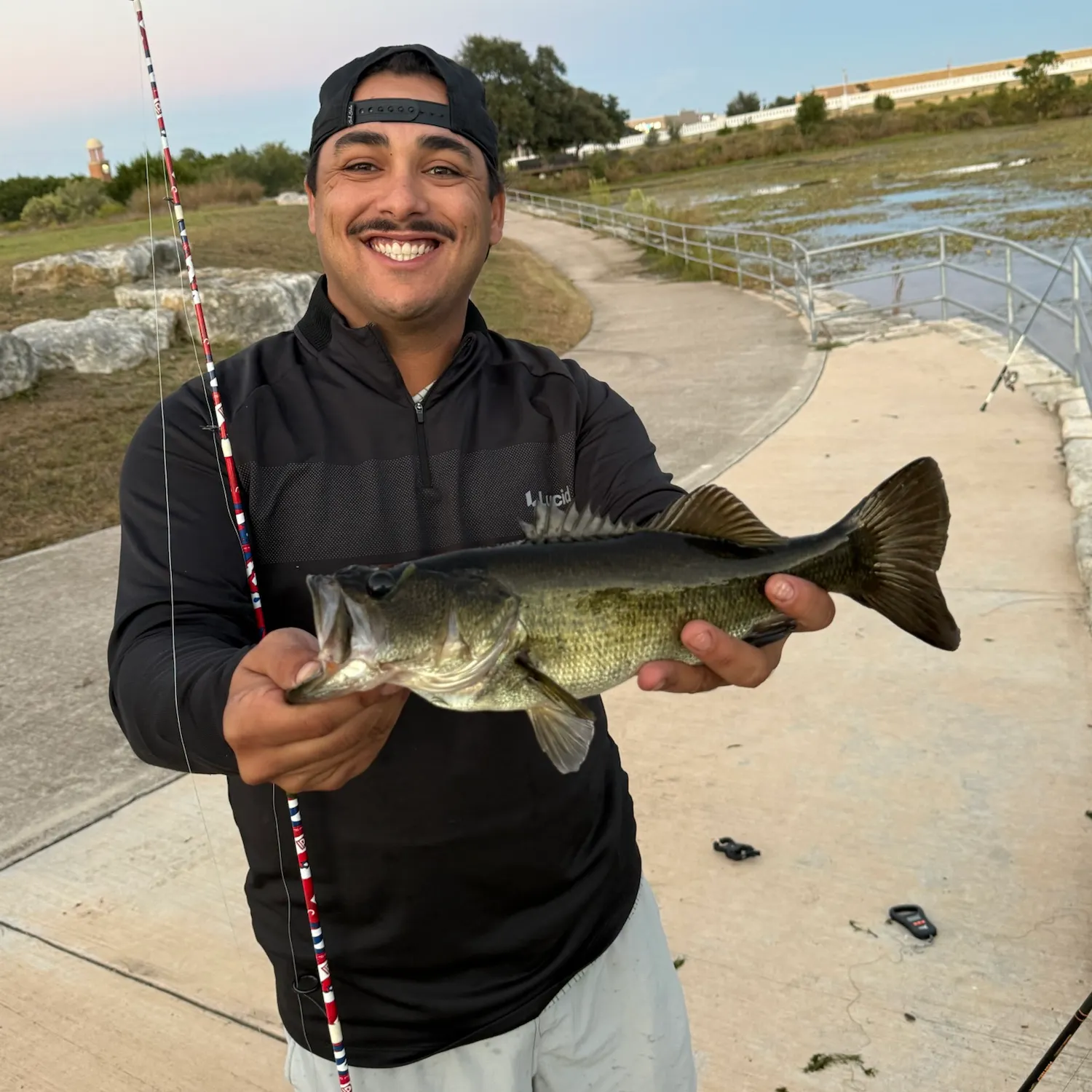 Largemouth bass caught on Fishbrain