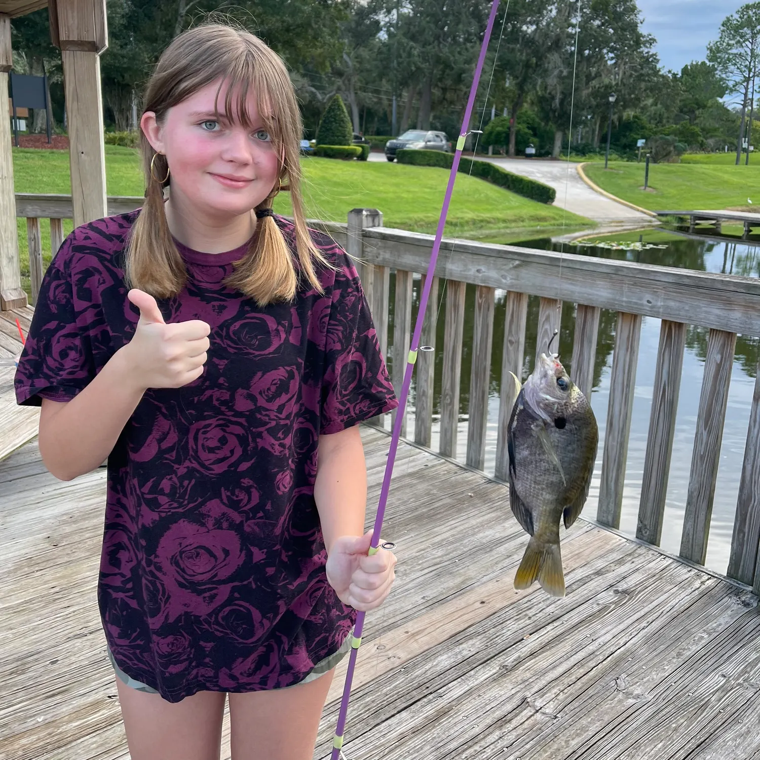 Bluegill caught on Fishbrain