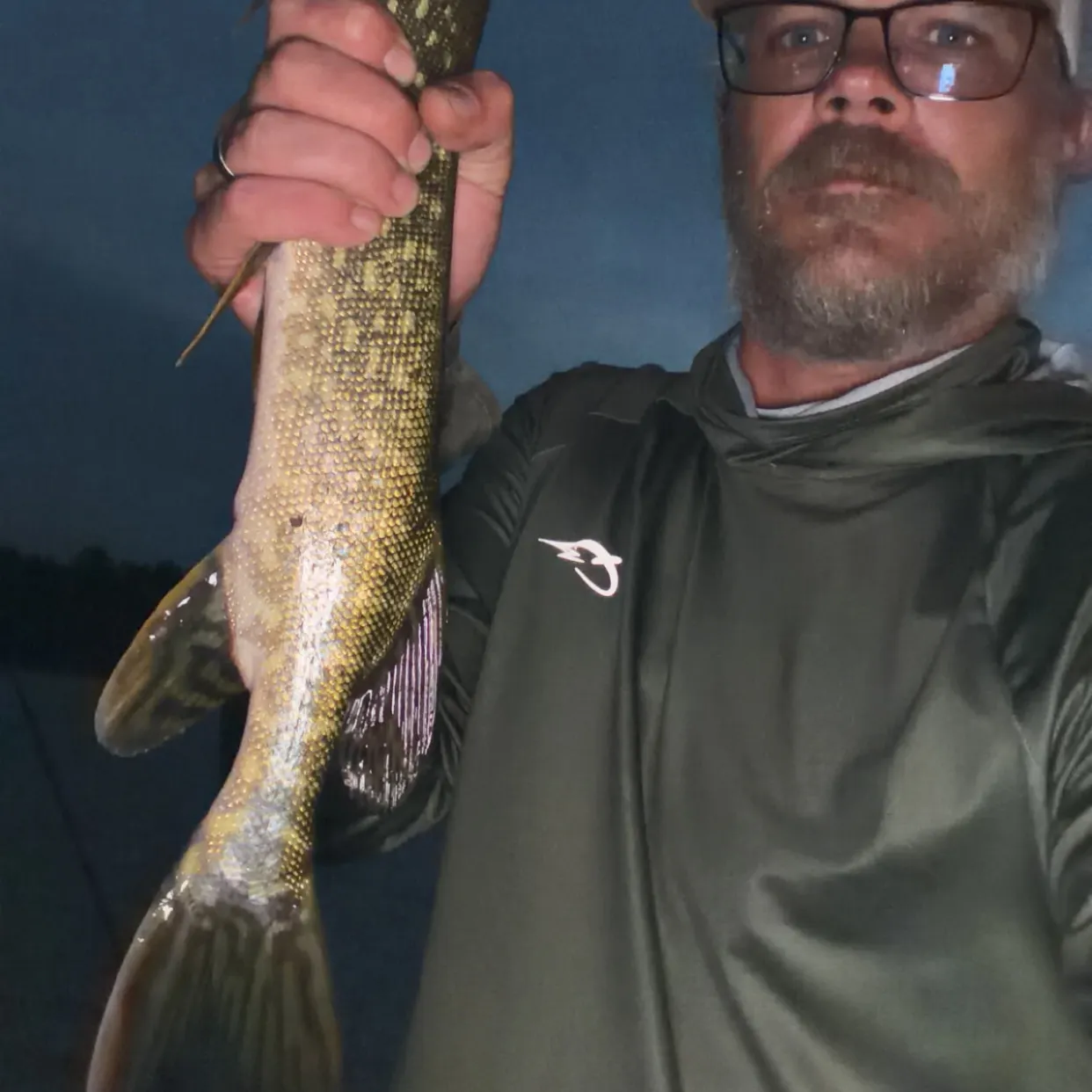 Northern pike caught on Fishbrain