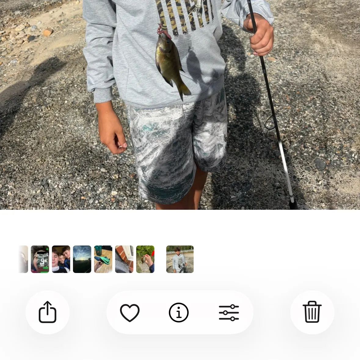 Bluegill caught on Fishbrain