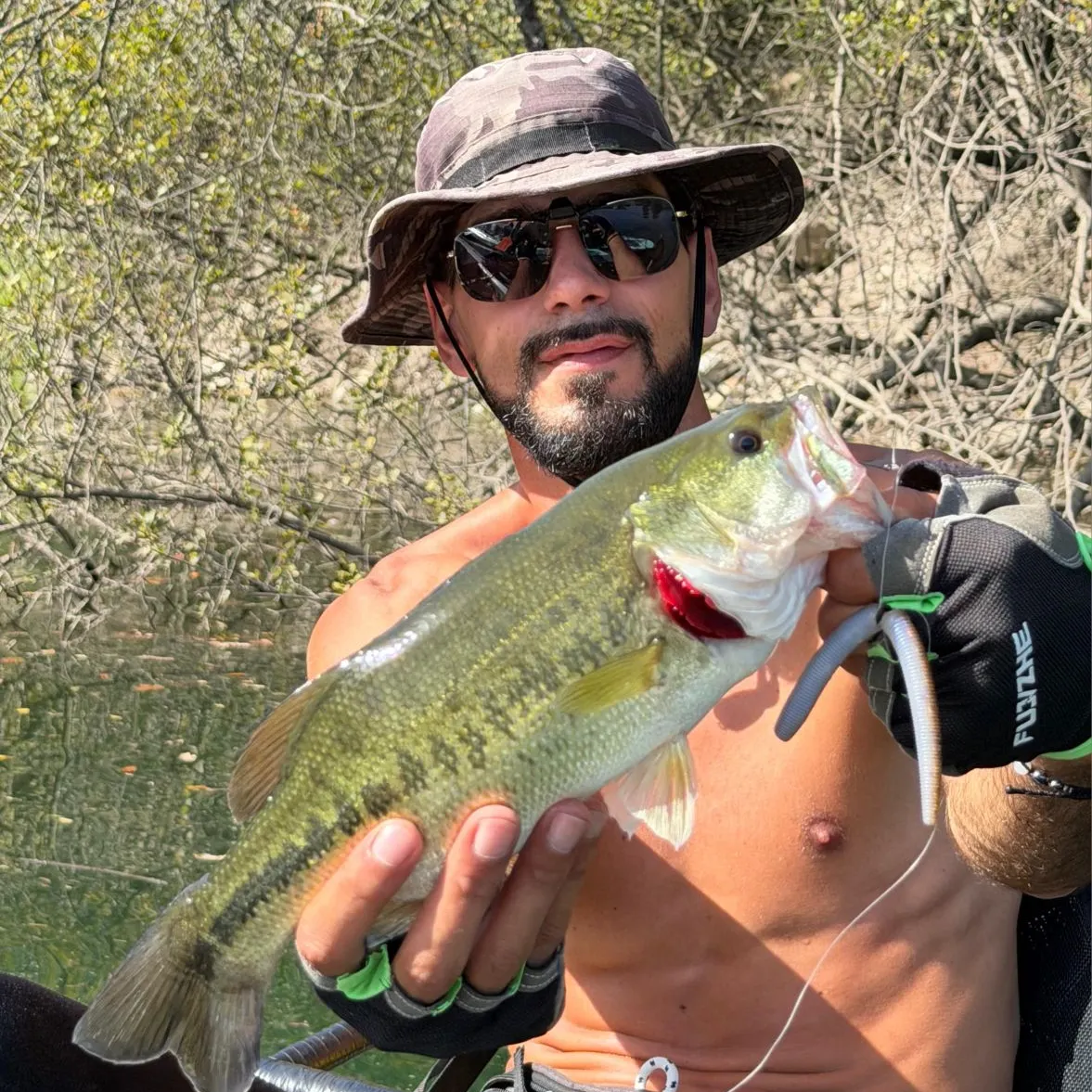 Largemouth bass caught on Fishbrain
