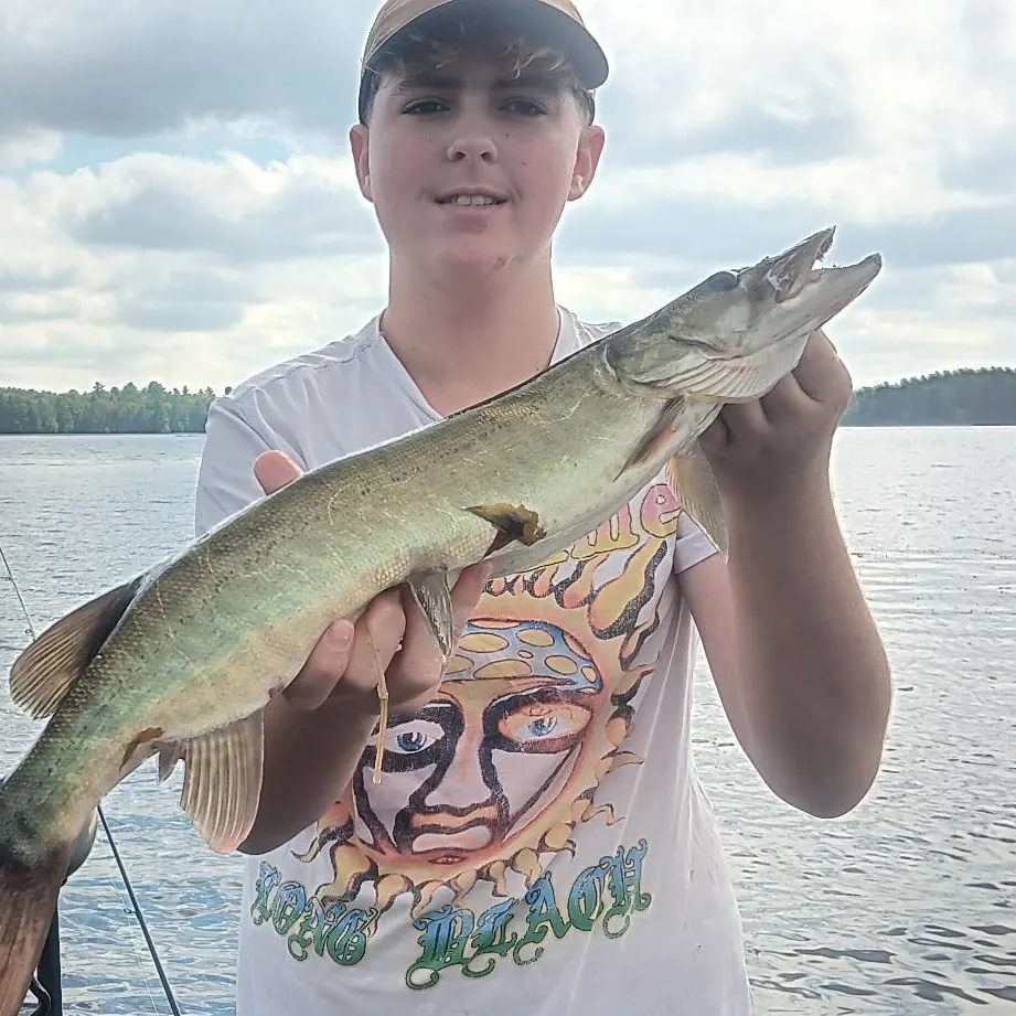 Muskie caught on Fishbrain