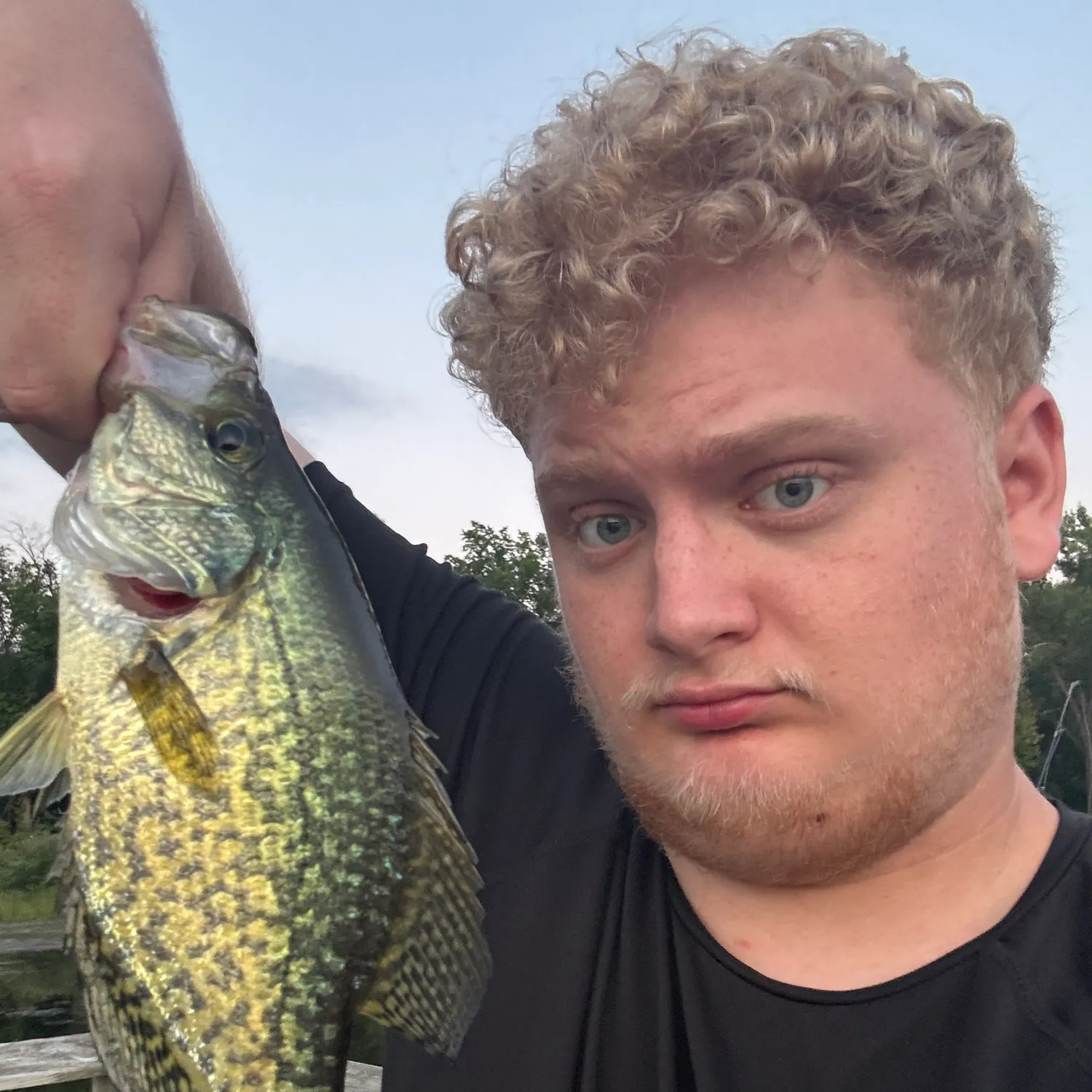 Black crappie caught on Fishbrain