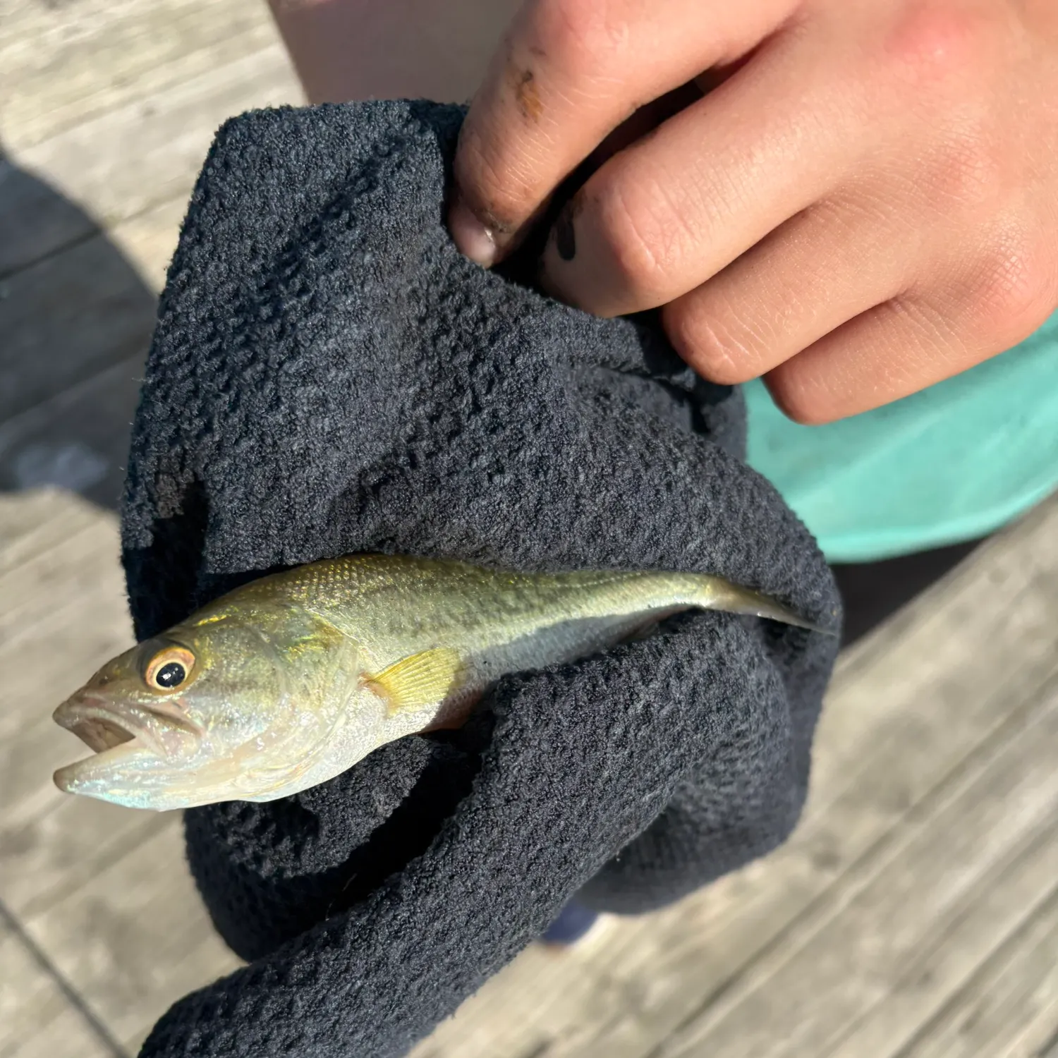 catch