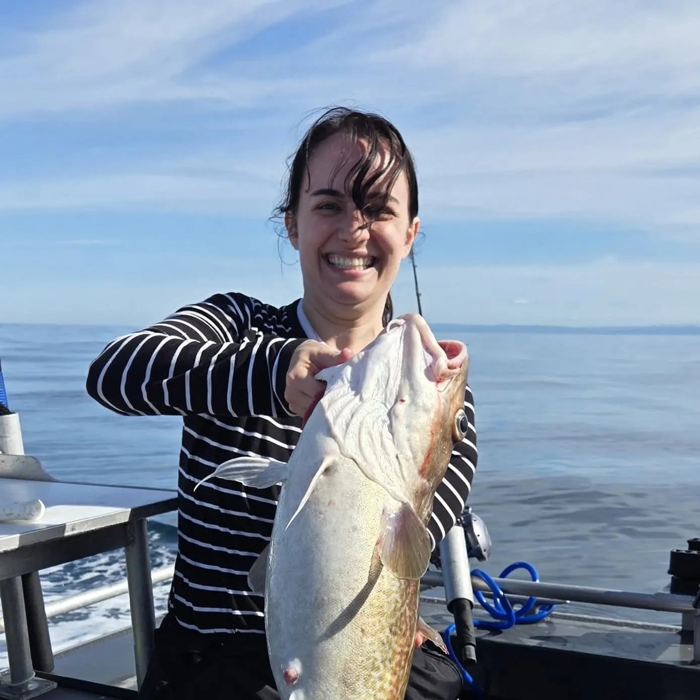 Pacific cod caught on Fishbrain