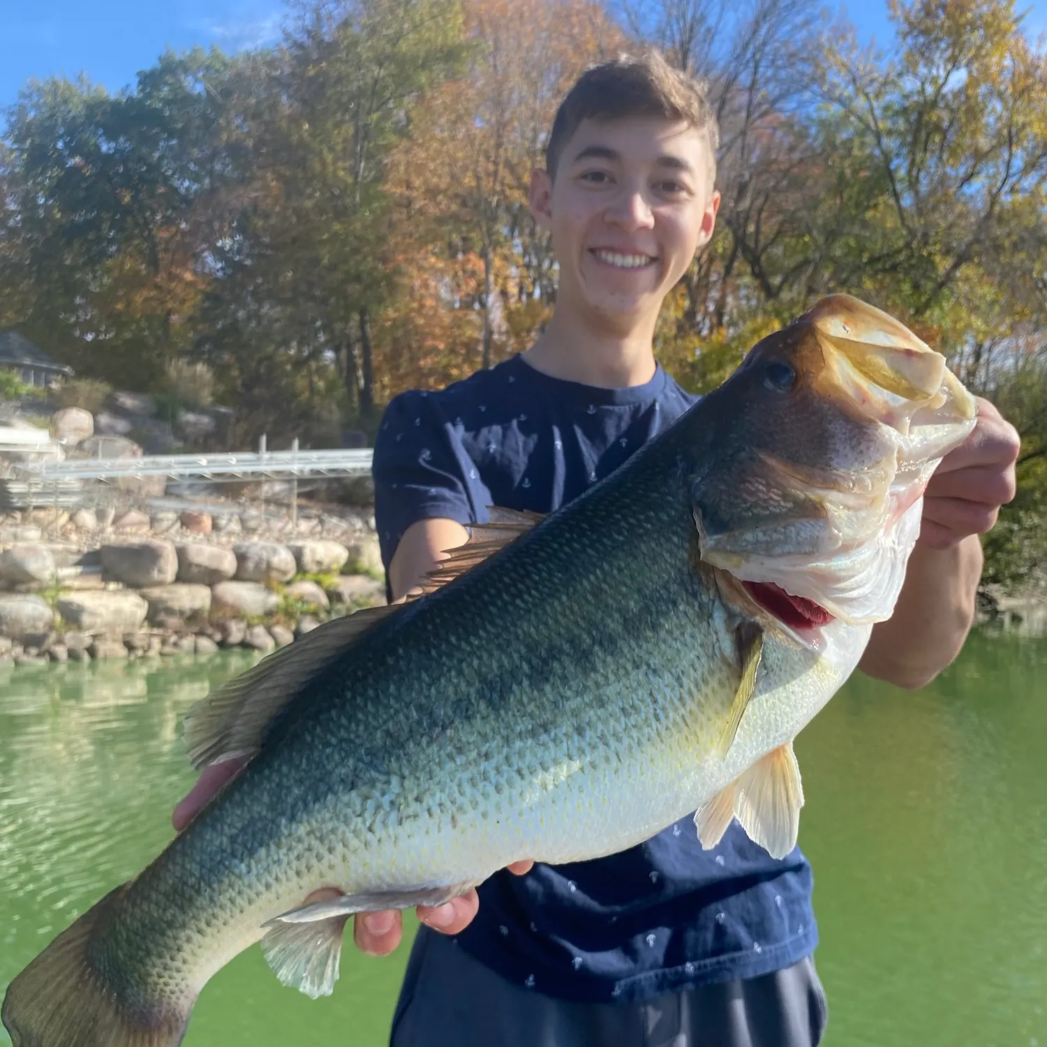 Largemouth bass caught on Fishbrain