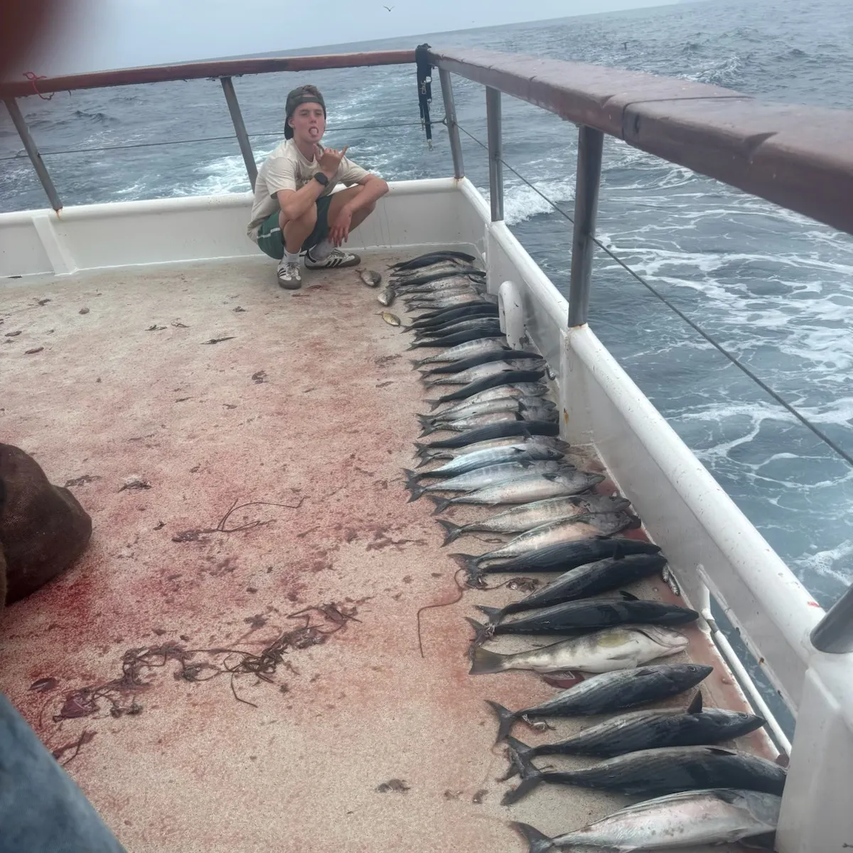 Fish caught on Fishbrain