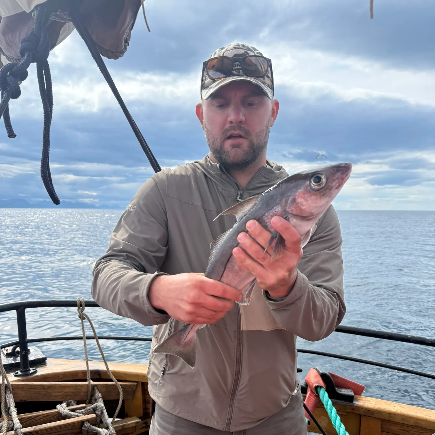 The most recent Haddock catches on Fishbrain