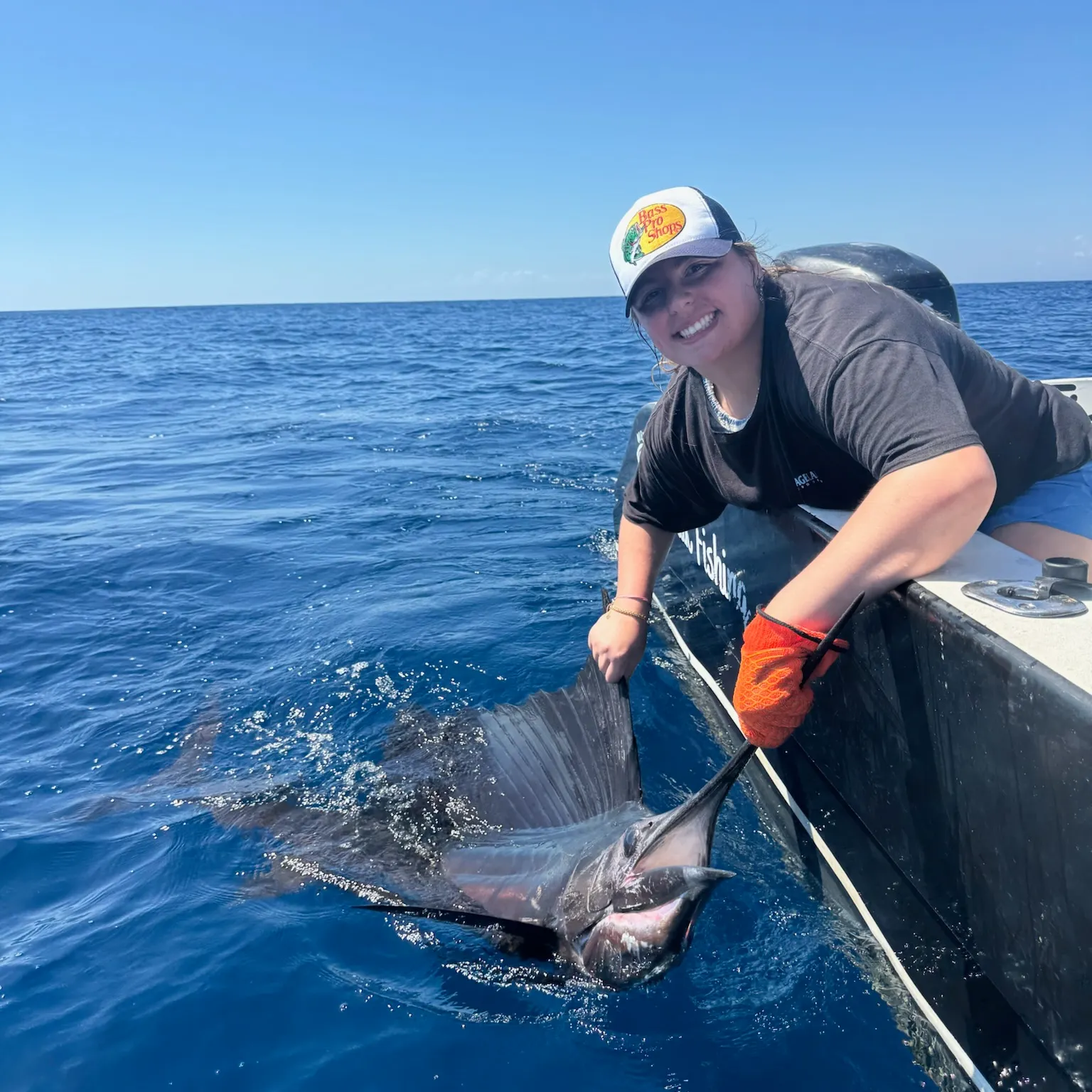The most recent Indo-Pacific sailfish catches on Fishbrain