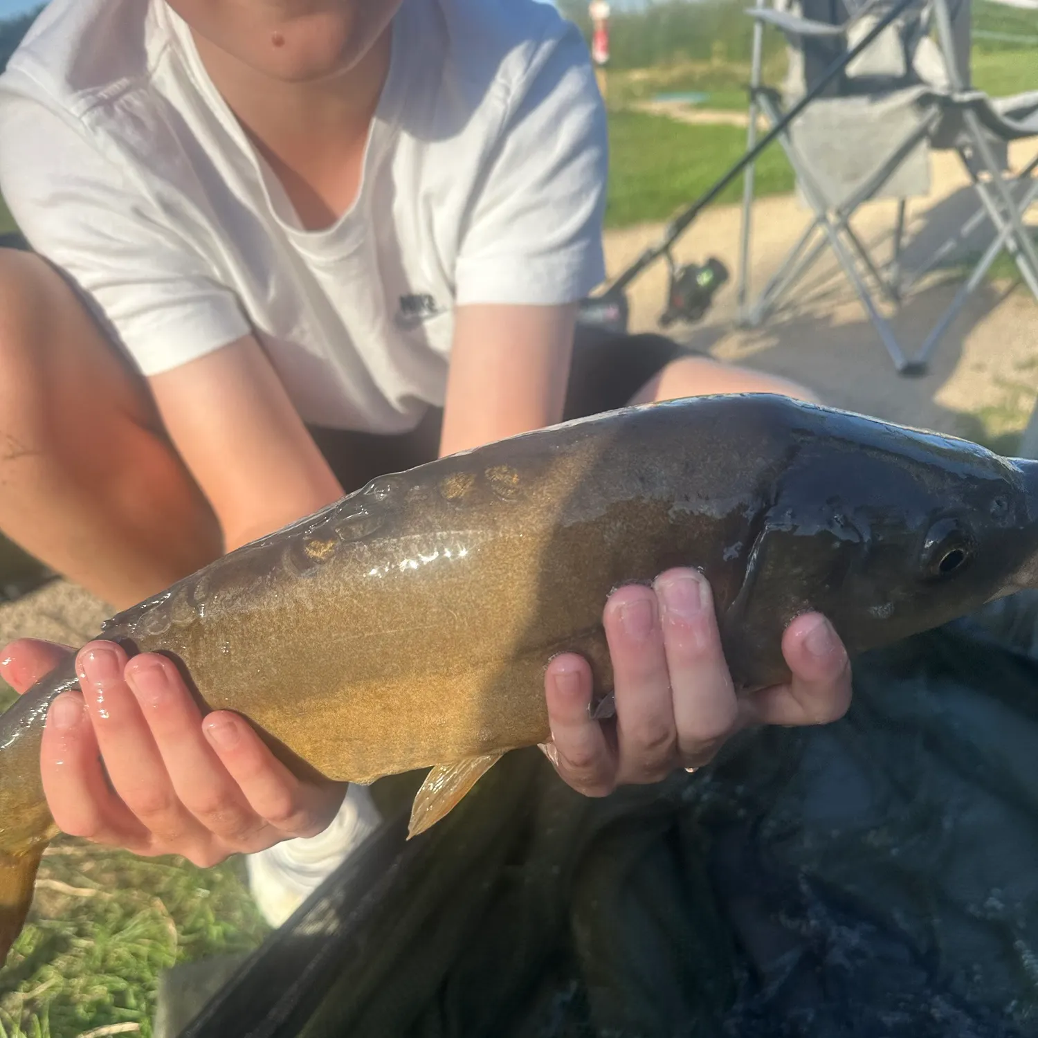 The most recent Leather carp catches on Fishbrain