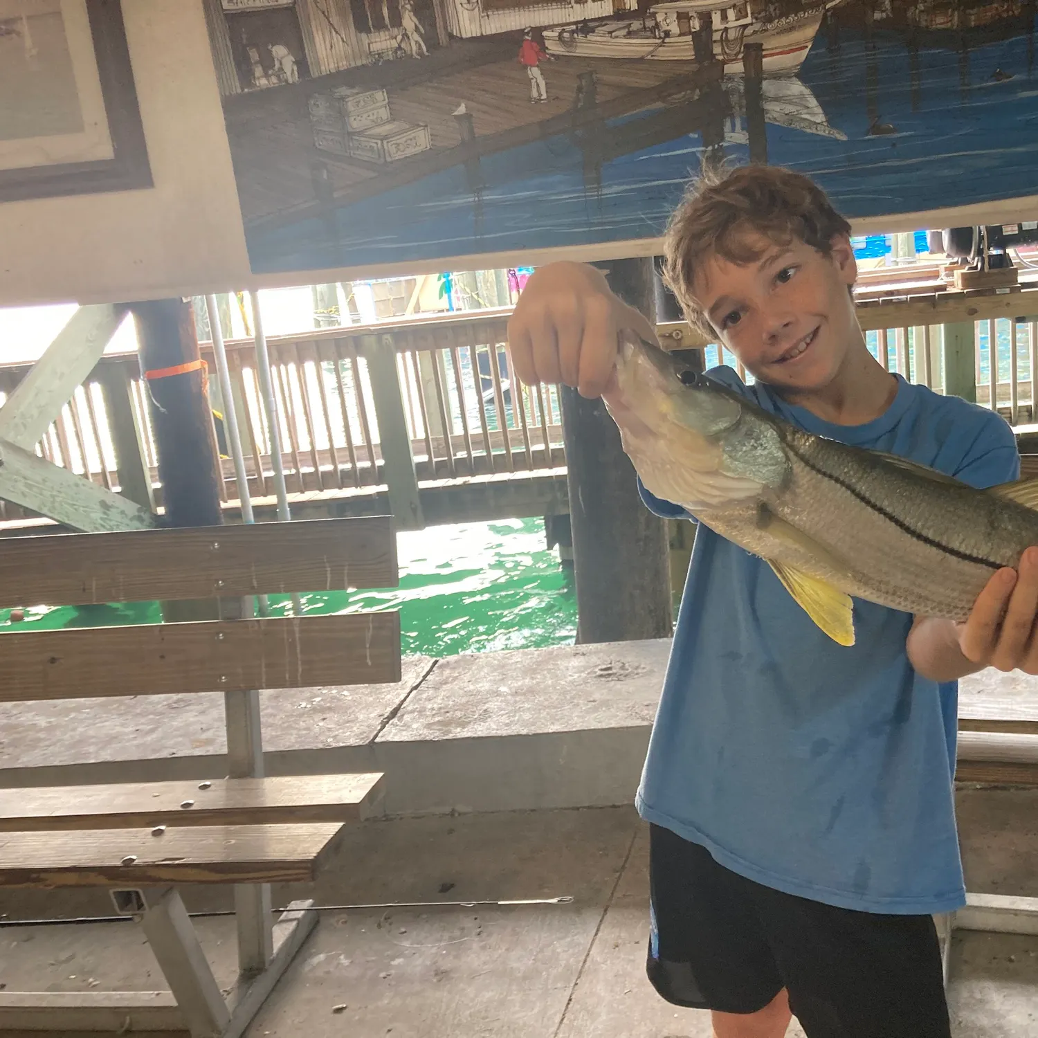 Fat snook caught on Fishbrain
