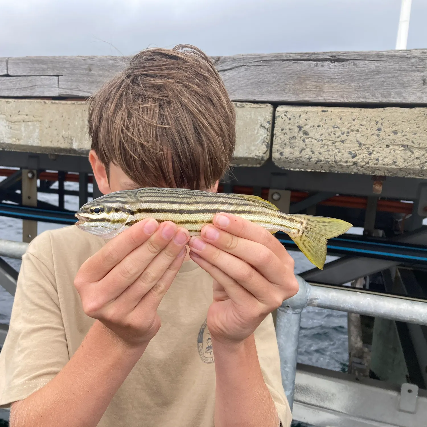 The most recent Striped whiptail catches on Fishbrain
