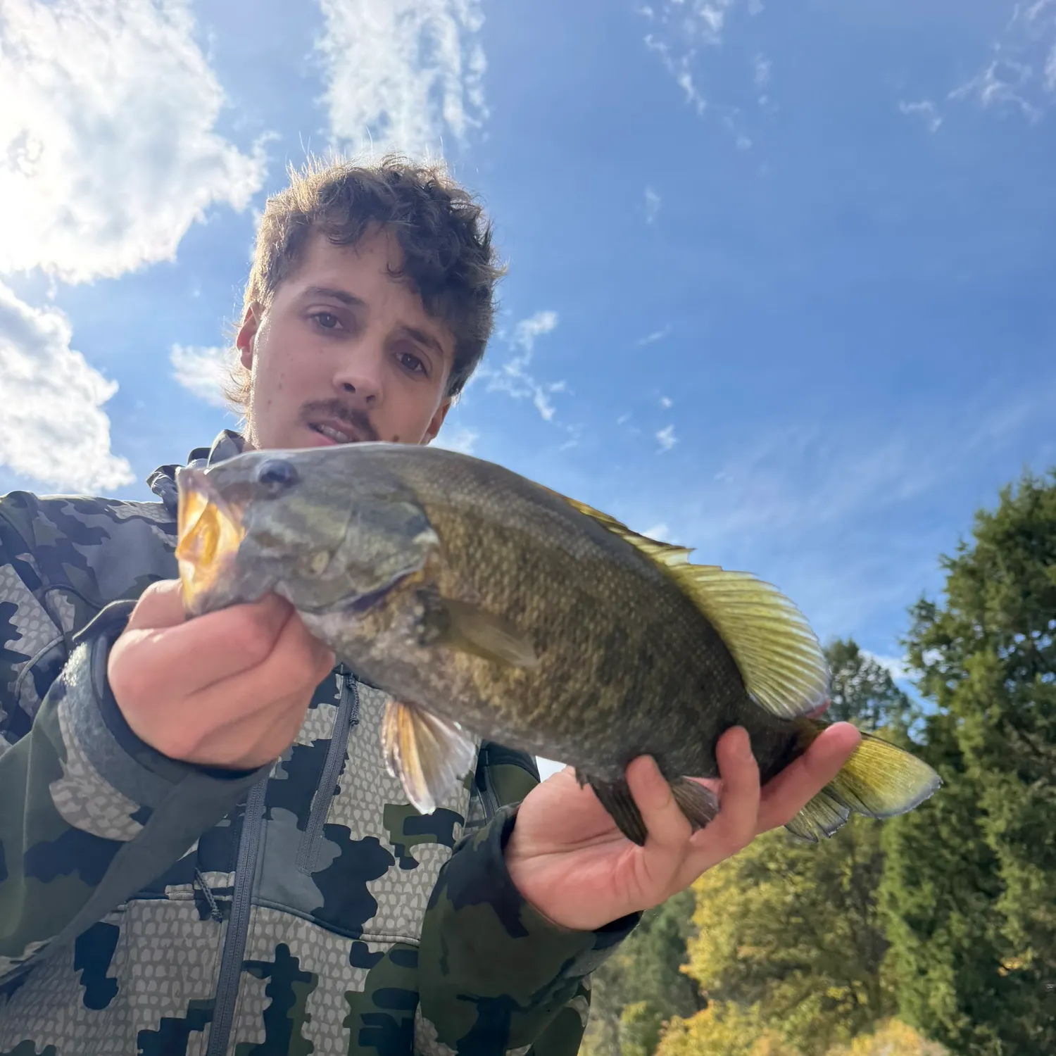 Smallmouth bass caught on Fishbrain