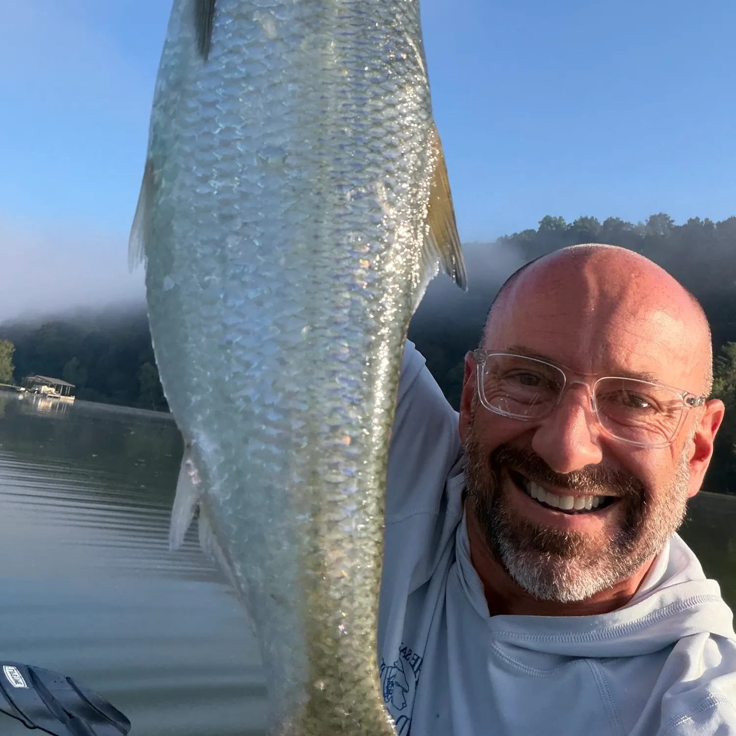 The most recent Skipjack herring catches on Fishbrain