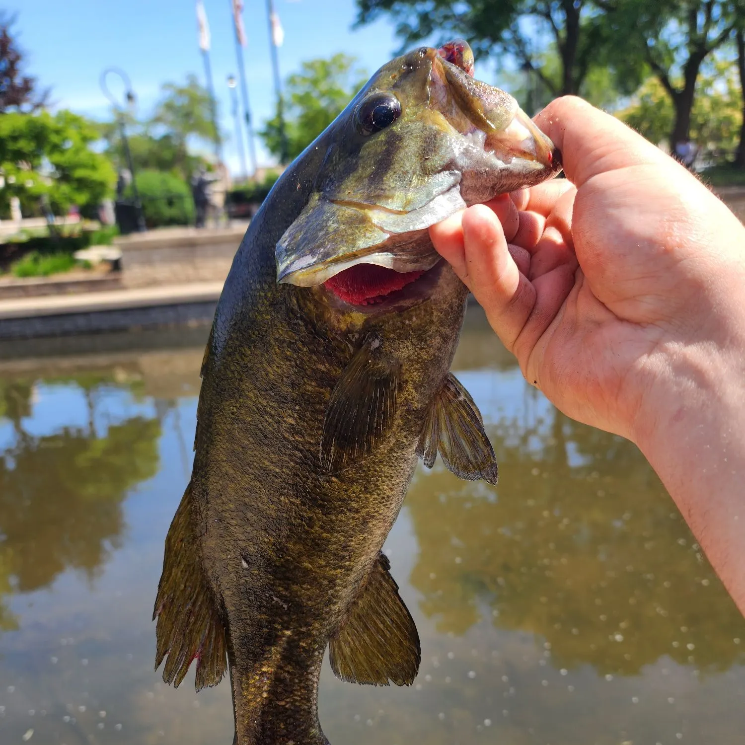 catch