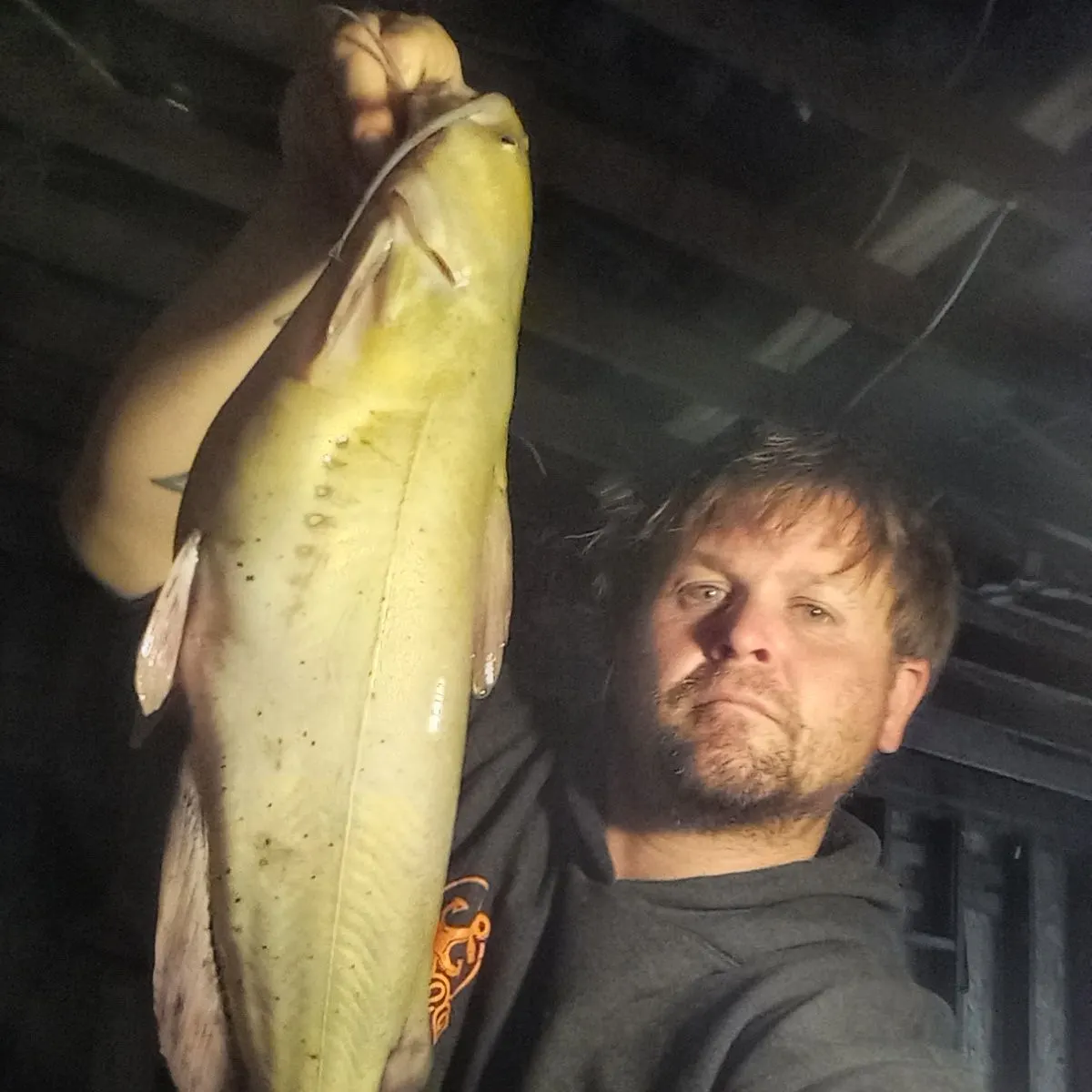 Channel catfish caught on Fishbrain