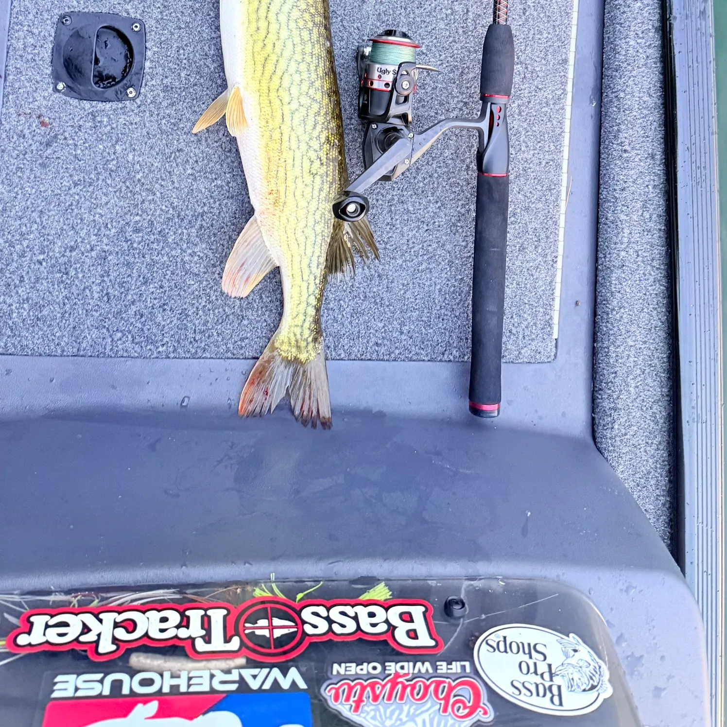 recently logged catches