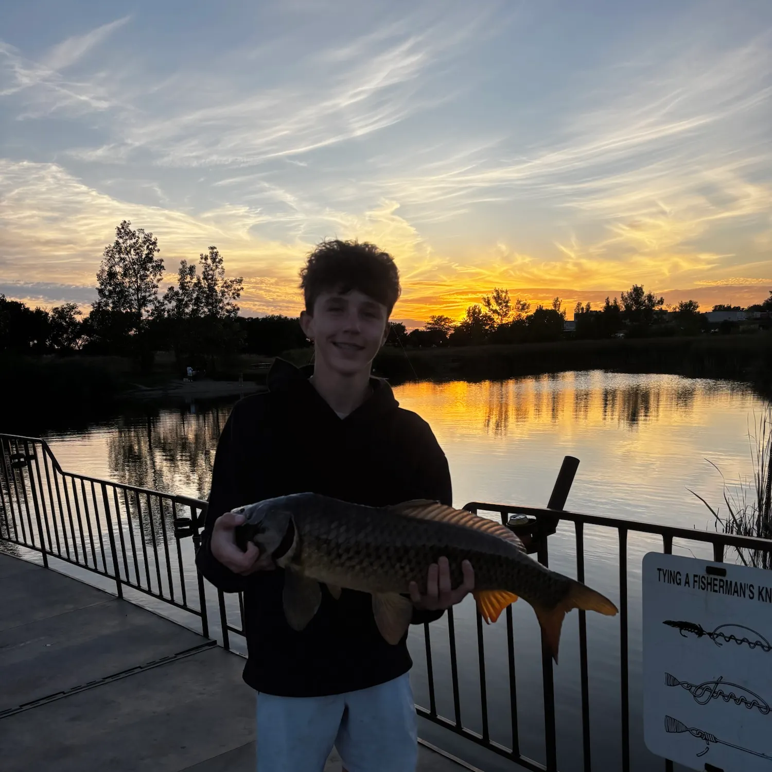 Common carp caught on Fishbrain