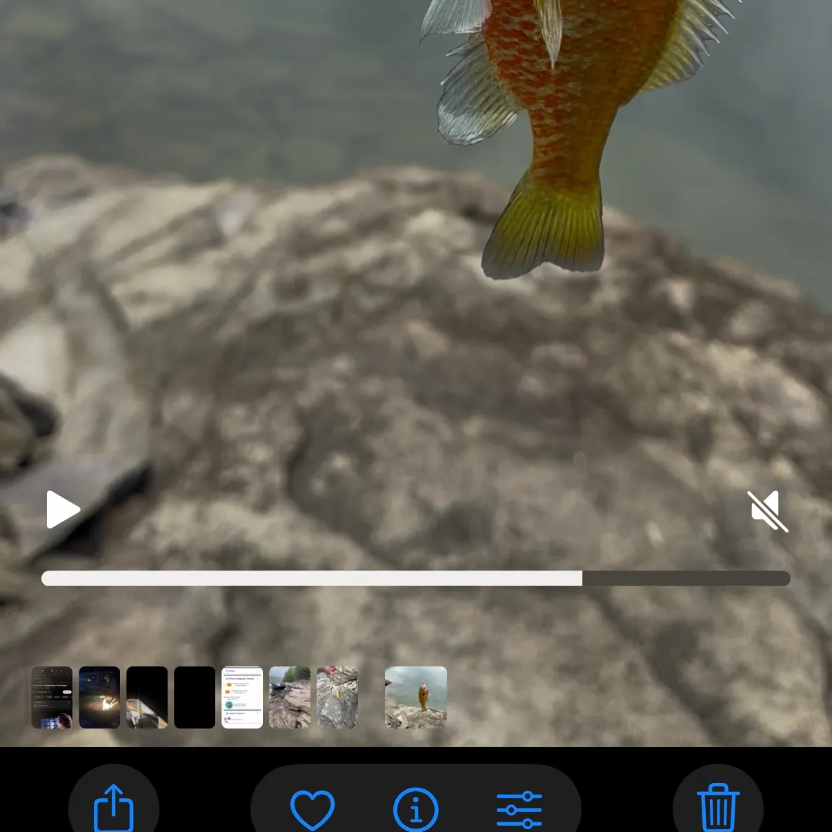 The most recent Pumpkinseed x redbreast sunfish catches on Fishbrain