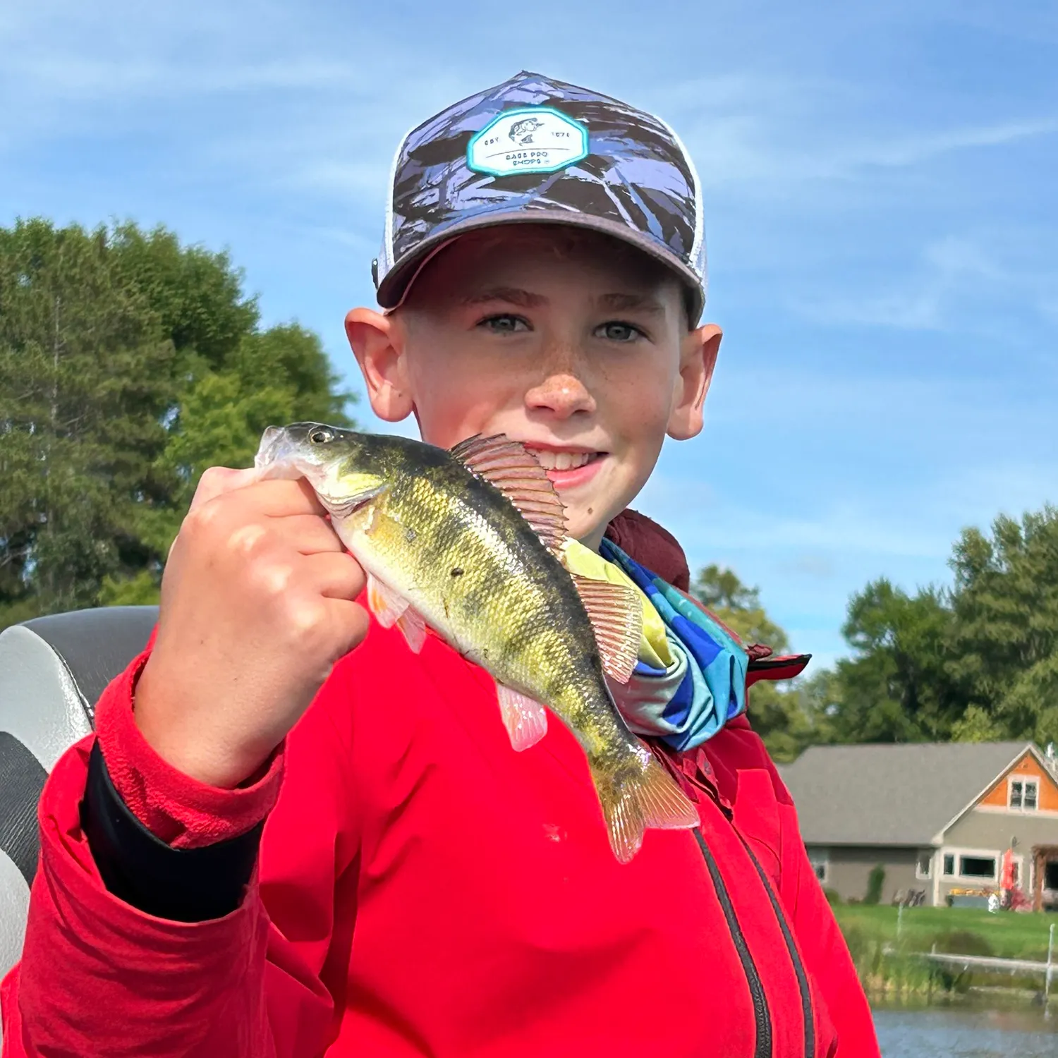Yellow perch caught on Fishbrain