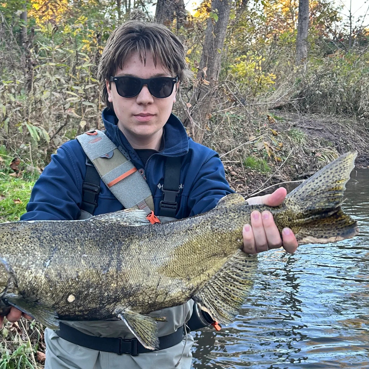 Chinook salmon caught on Fishbrain