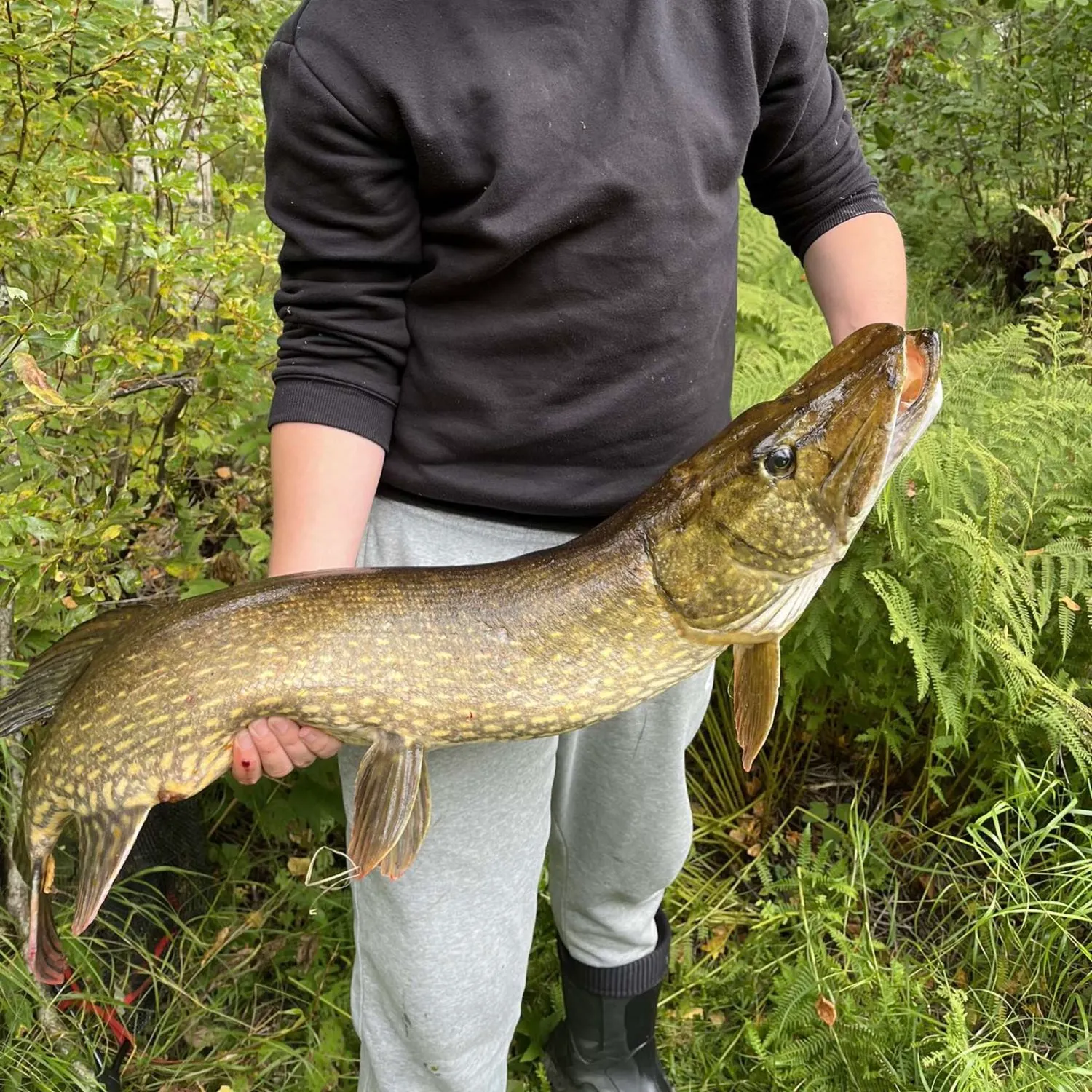 angler catch