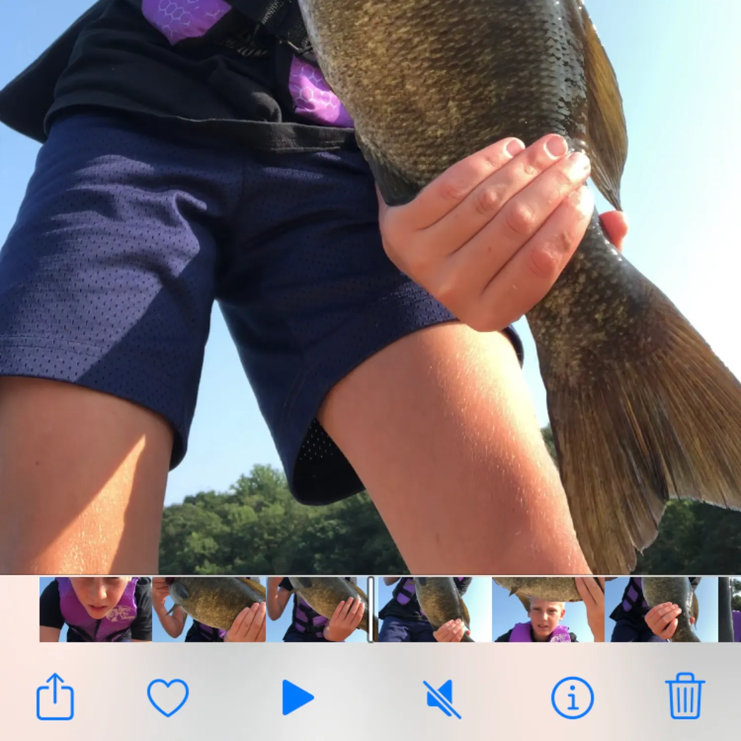 angler catch