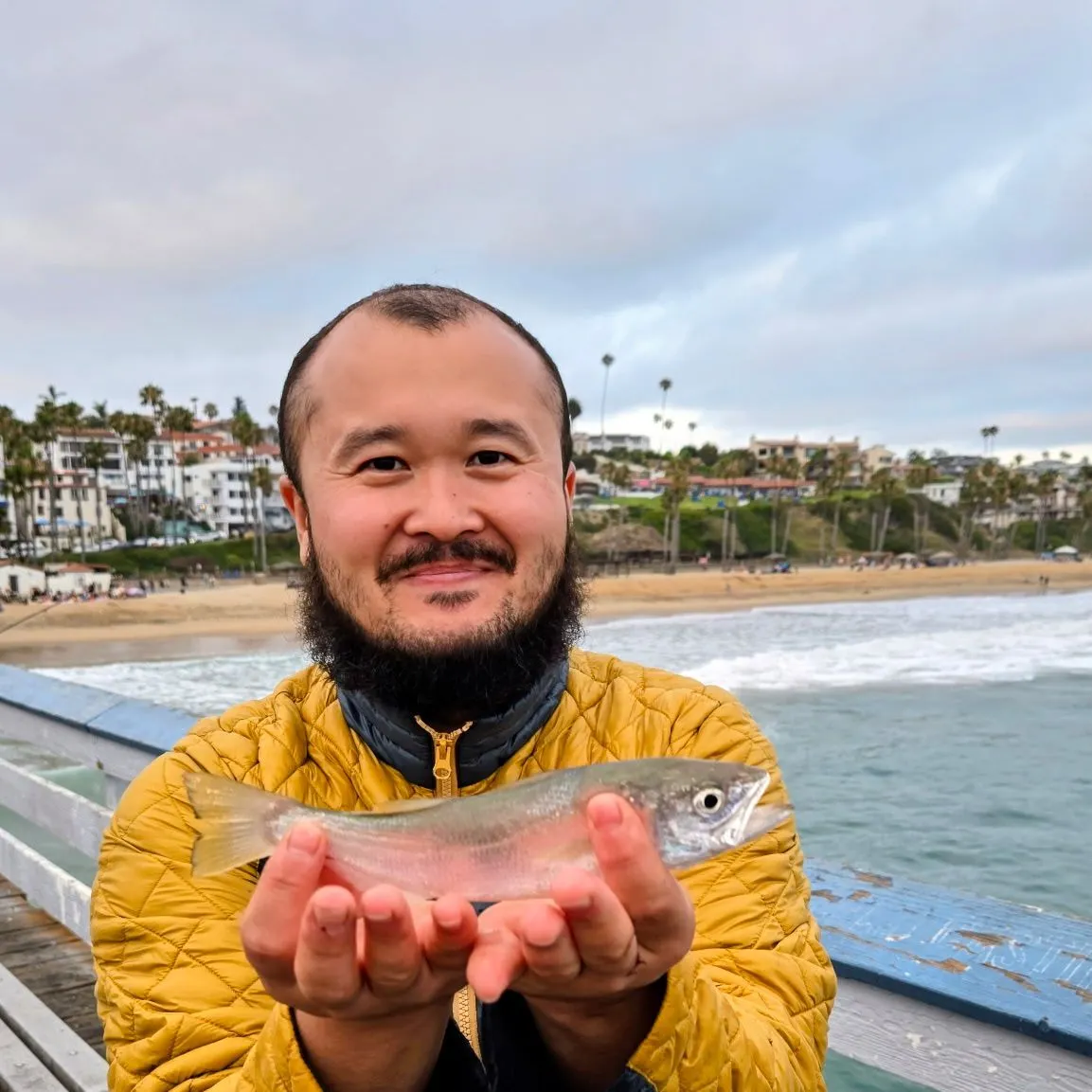 The most recent Queenfish catches on Fishbrain