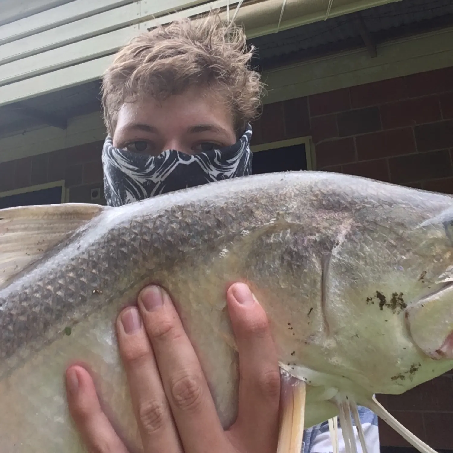 The most recent King threadfin catches on Fishbrain