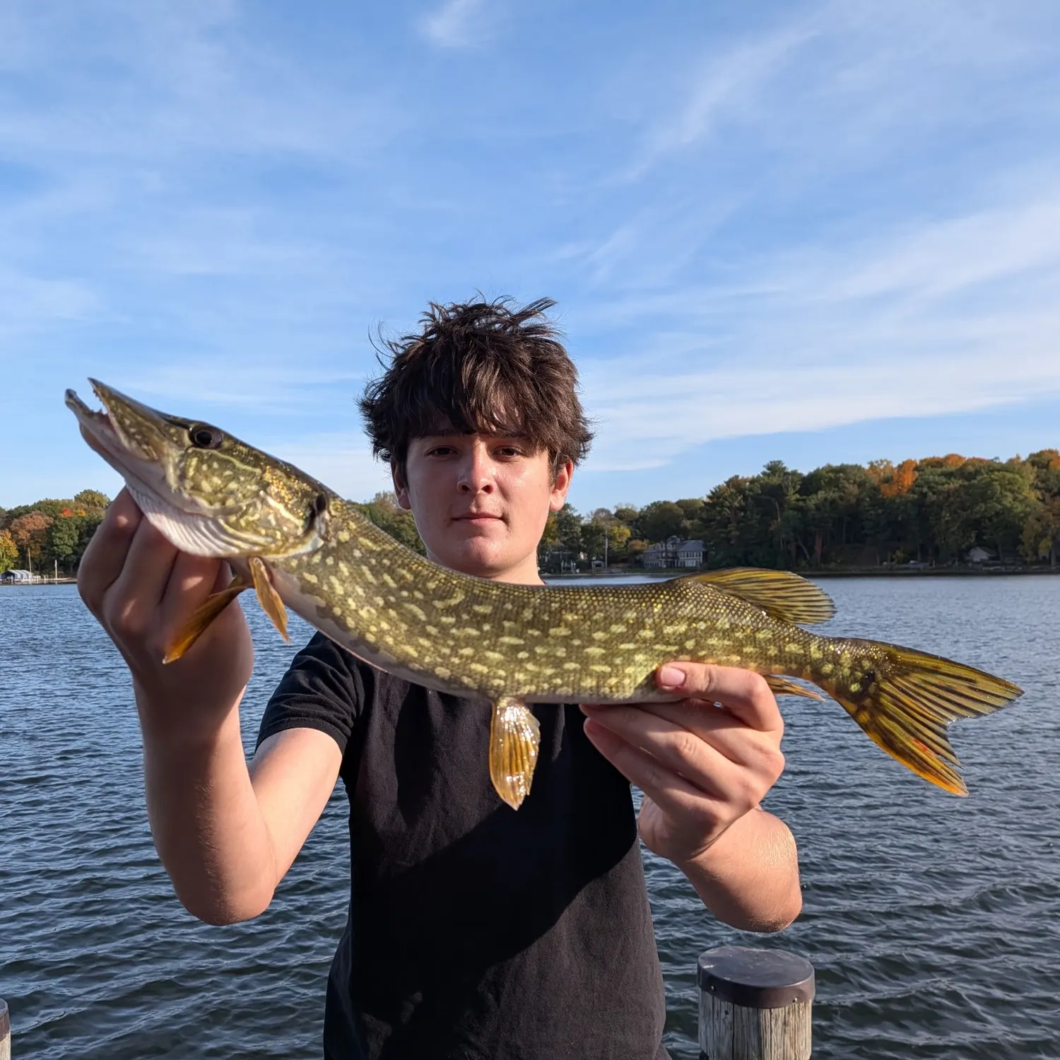 Northern pike caught on Fishbrain