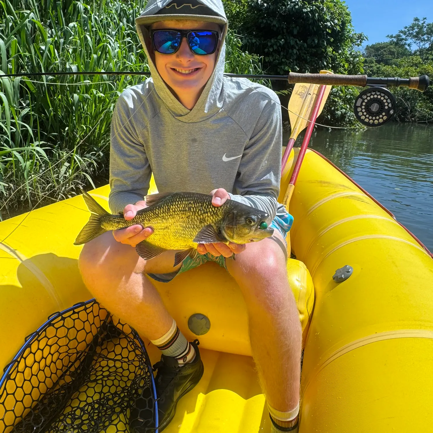 The most recent Machaca catches on Fishbrain