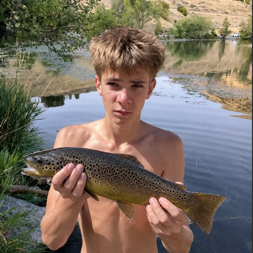 Brown trout caught on Fishbrain